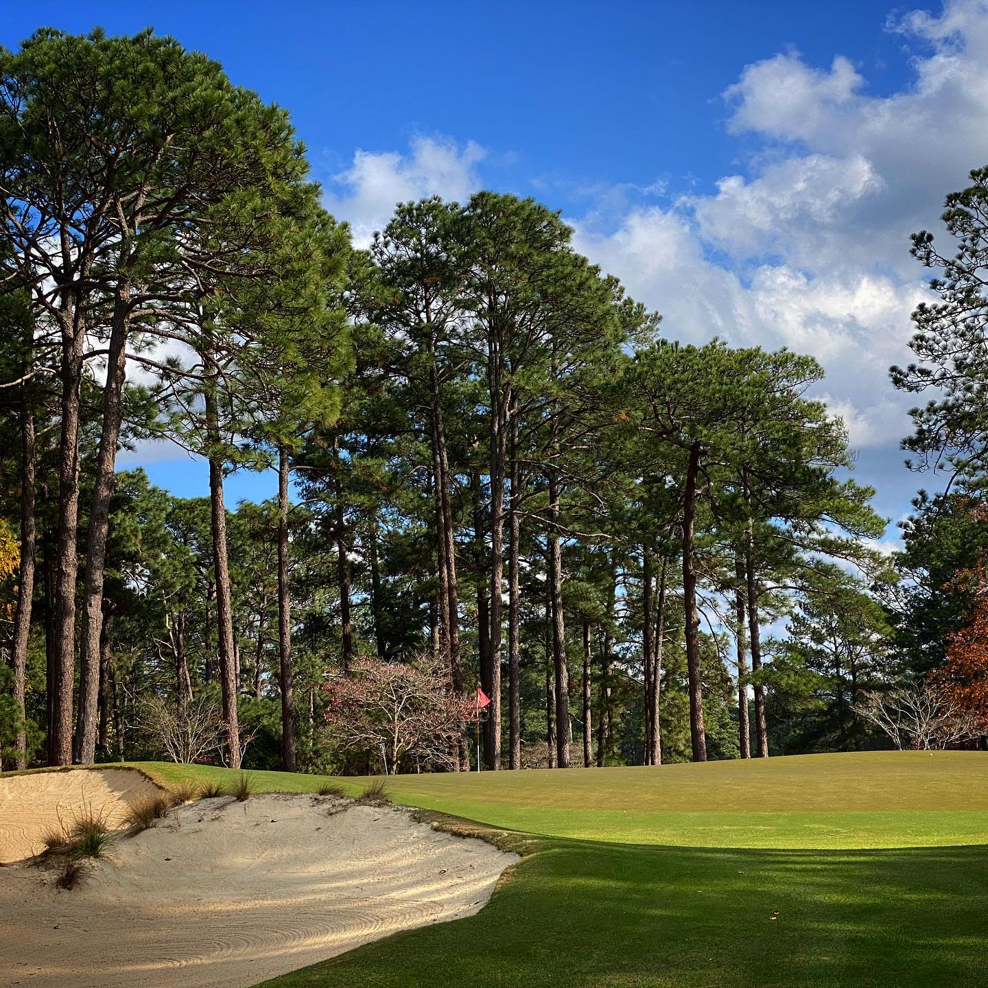 A #donaldrossdesign treat @midpinesinn ...