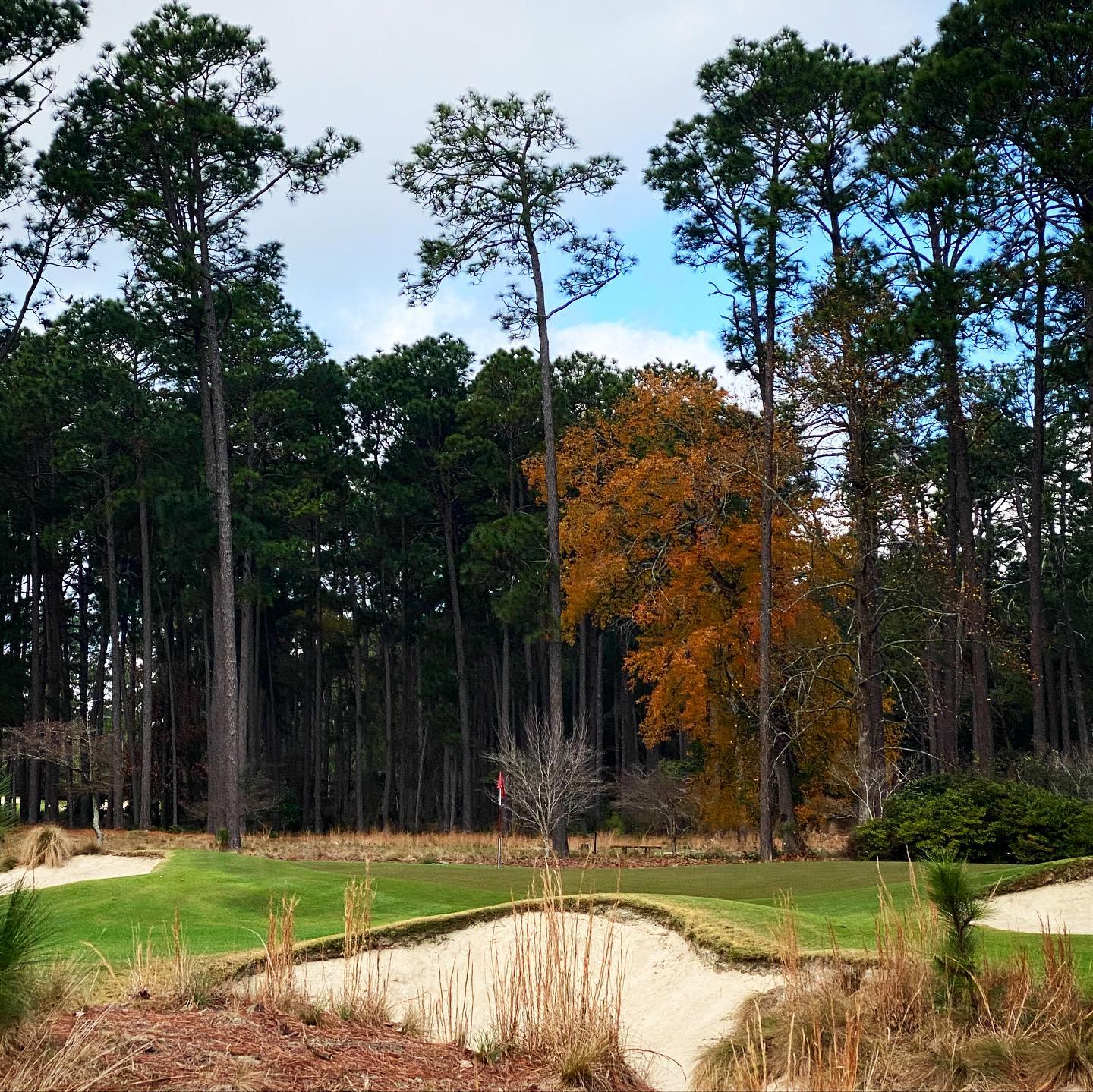 A #donaldrossdesign treat @midpinesinn ...