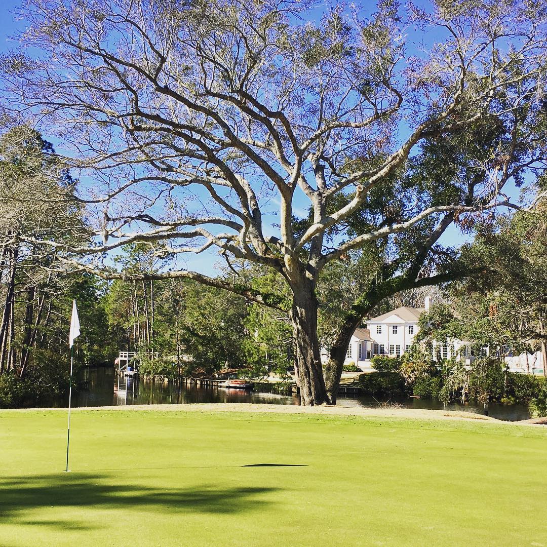 Awesome weather on Saturday with @golfweekamtour at #palmettodunes #roberttrentjones #golfcourse