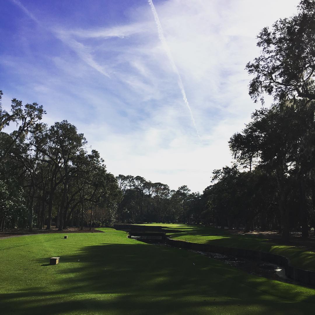 I have a love/hate relationship with #petedye and #harbortown