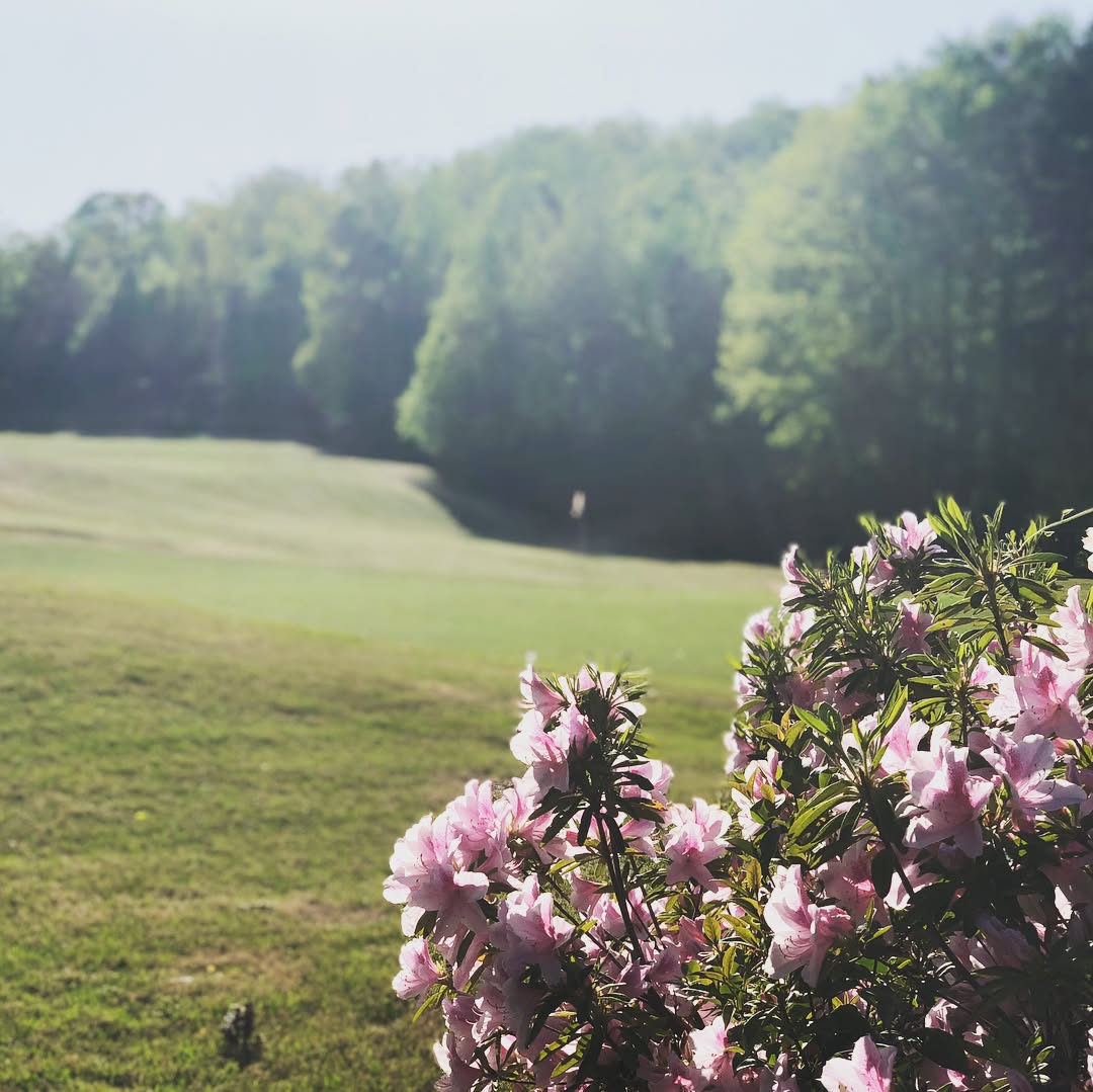 Best time of the year in the #Carolinas for #golf @cramermountainclub