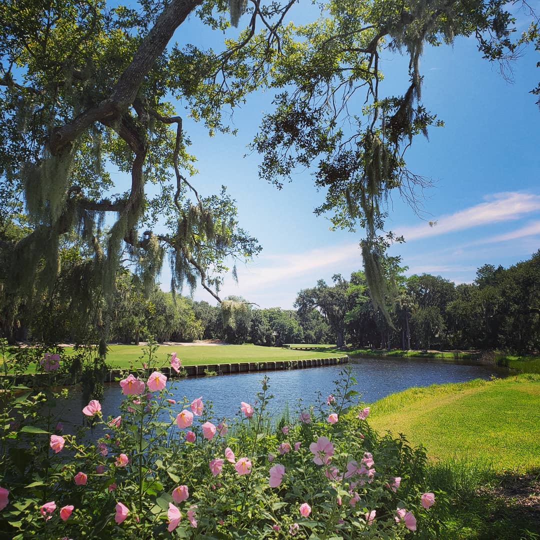 Another quick round @omni_aip #oakmarshgolfcourse - really enjoy this place! #petedye