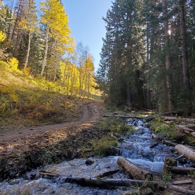 The Whole Enchilada - 34 Miels & 10K Feet of Descending = 🥰