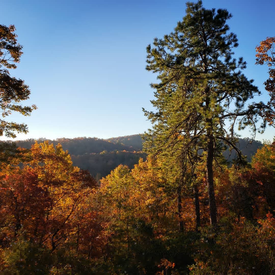 MTB in Pisgah National Forest