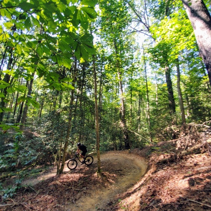 Warrior Creek Camping at its best!