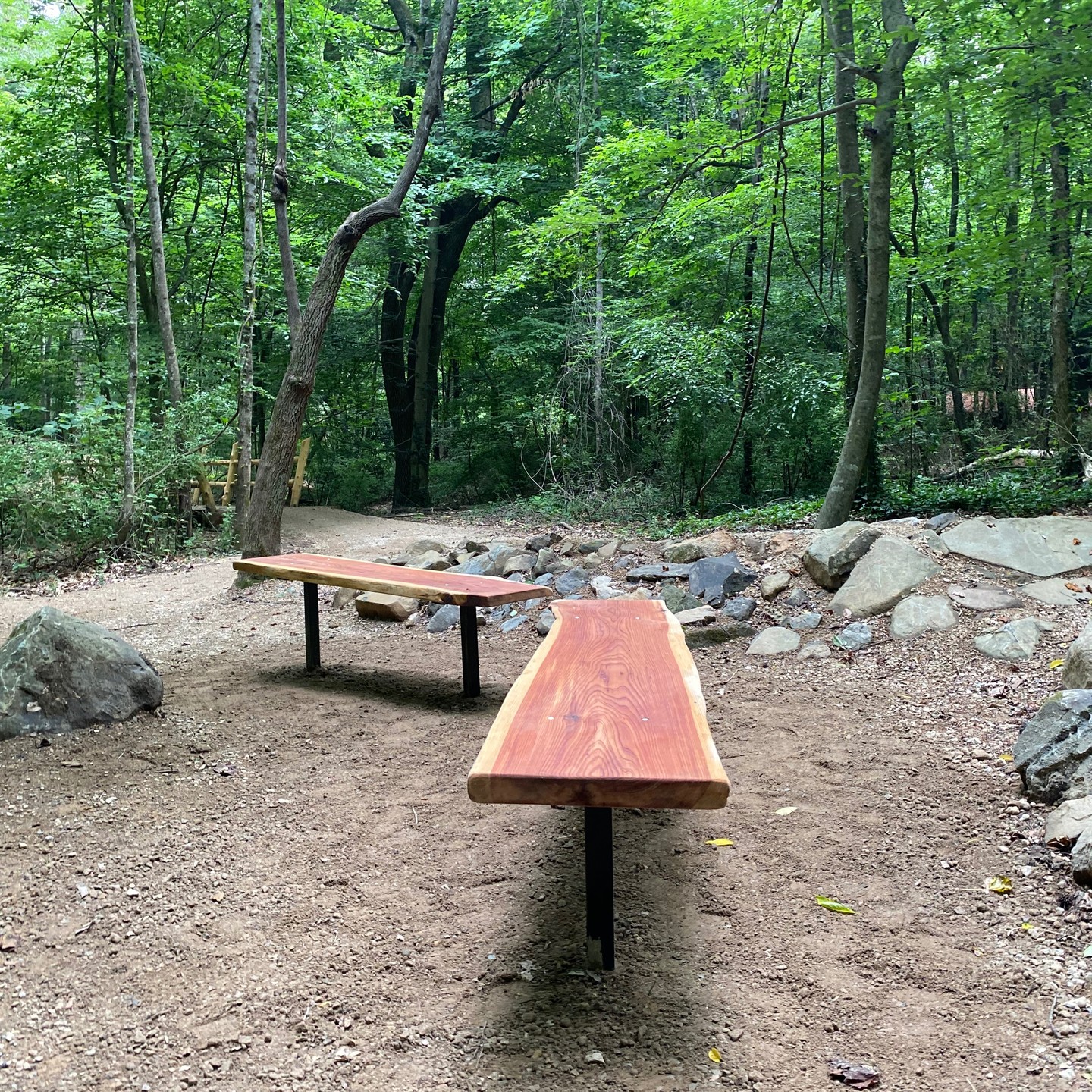 Rocky Branch Park Trail Trail Updates - Phase 1 well underway and the the Green level trail 