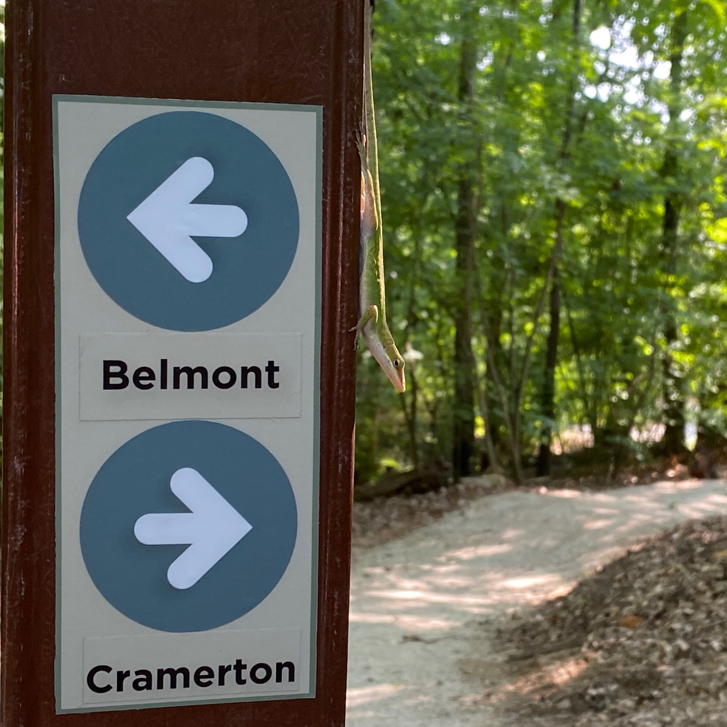 Volunteering at Rocky Branch Park - designing and laser cutting and installing the signage and most 