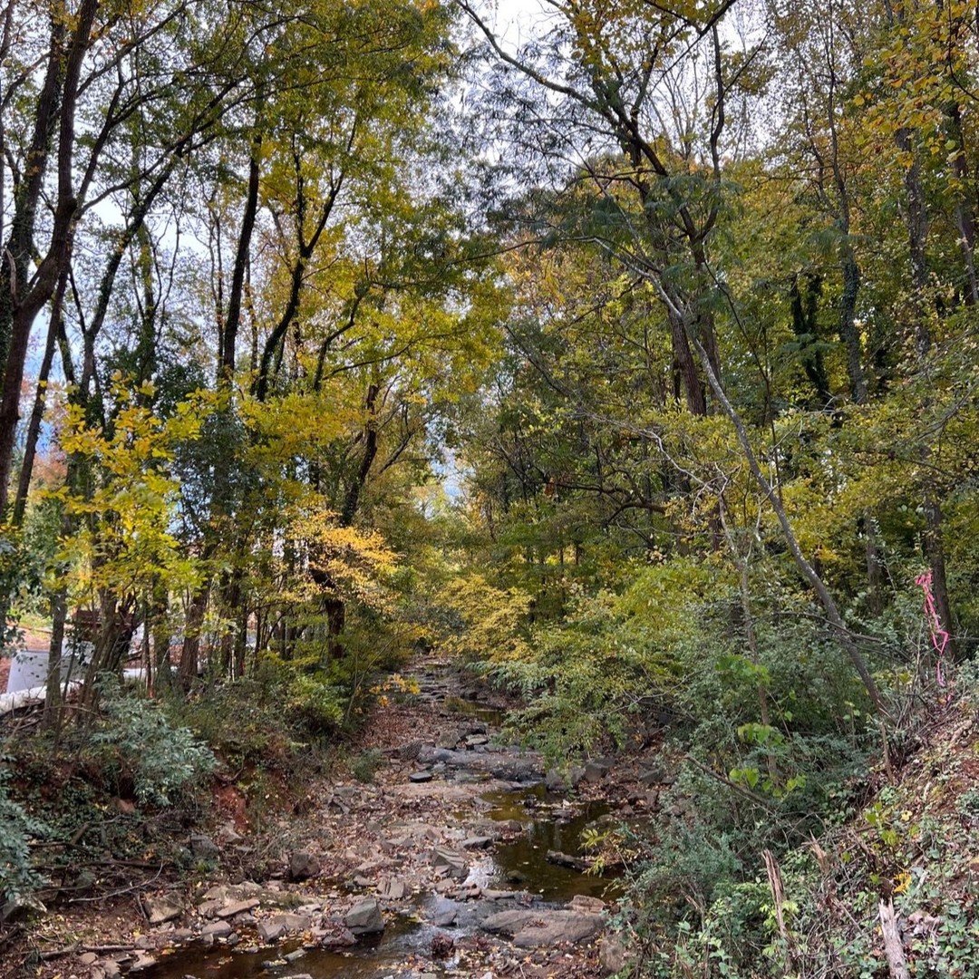 Another visit to #RockyRiverTrail aka Steves