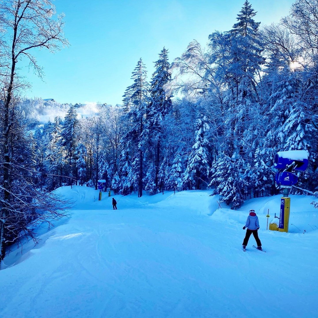 A different pace ...