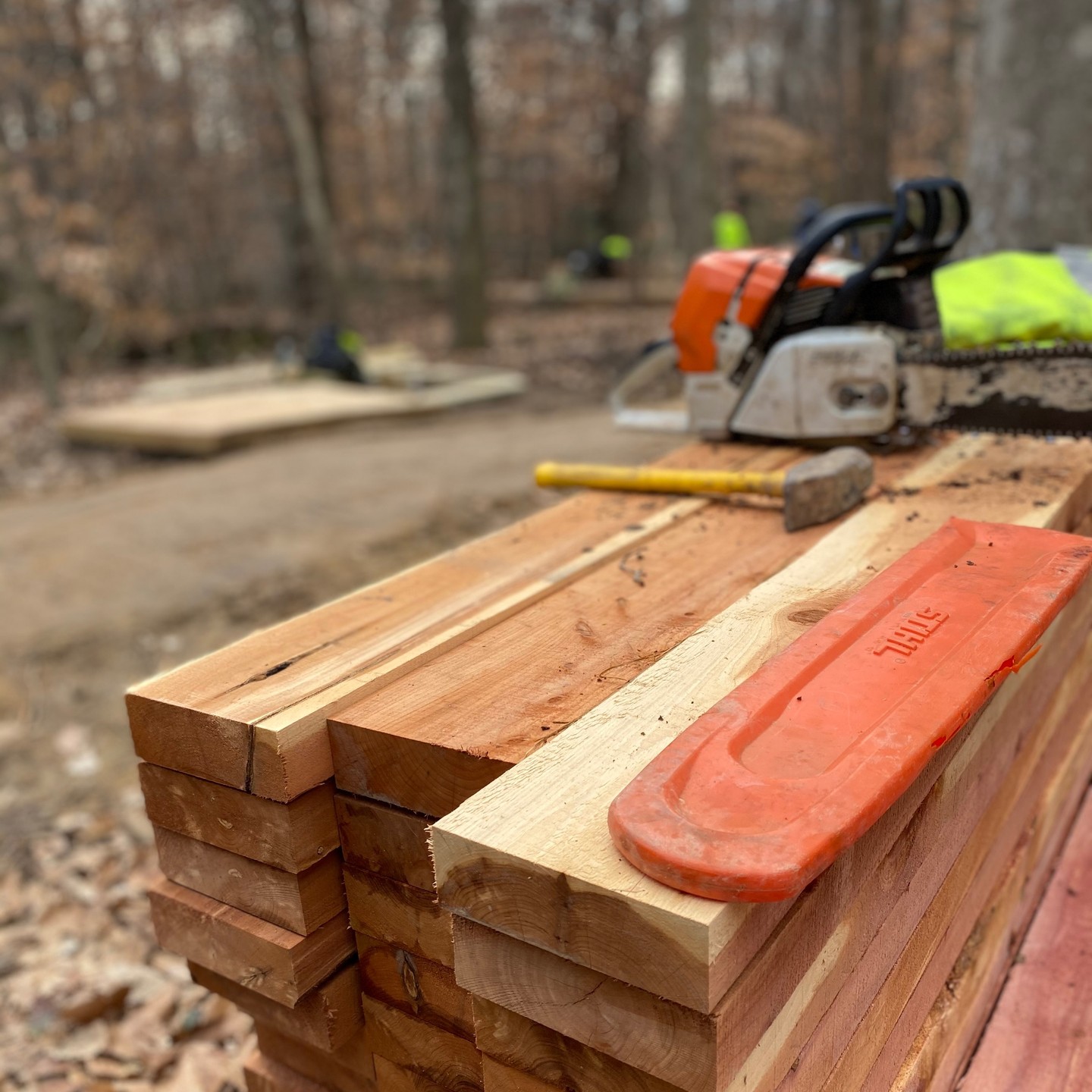Rocky Branch Park Trail Trail Updates - Phase 1 well underway and the the Green level trail 
