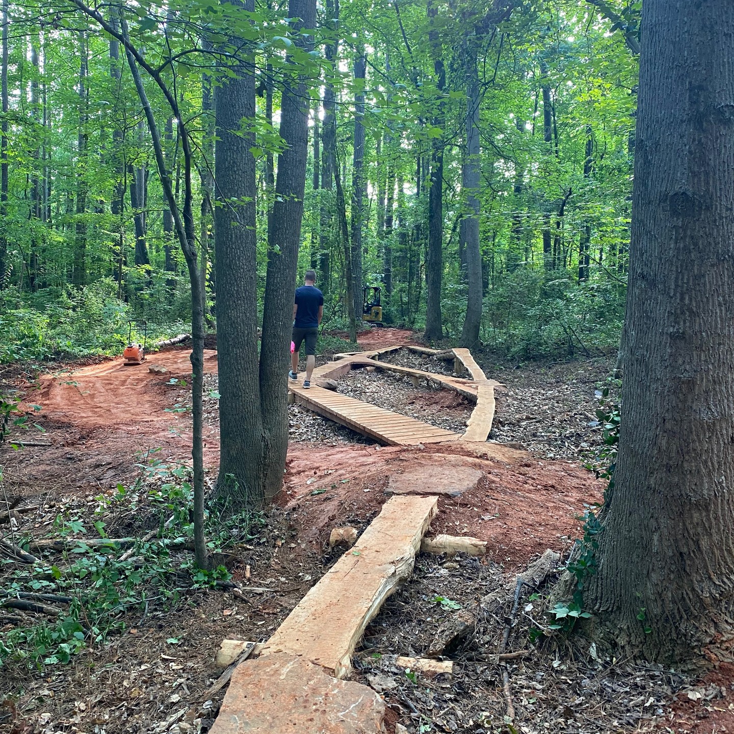 Rocky Branch Park Trail Trail Updates - Phase 1 well underway and the the Green level trail 