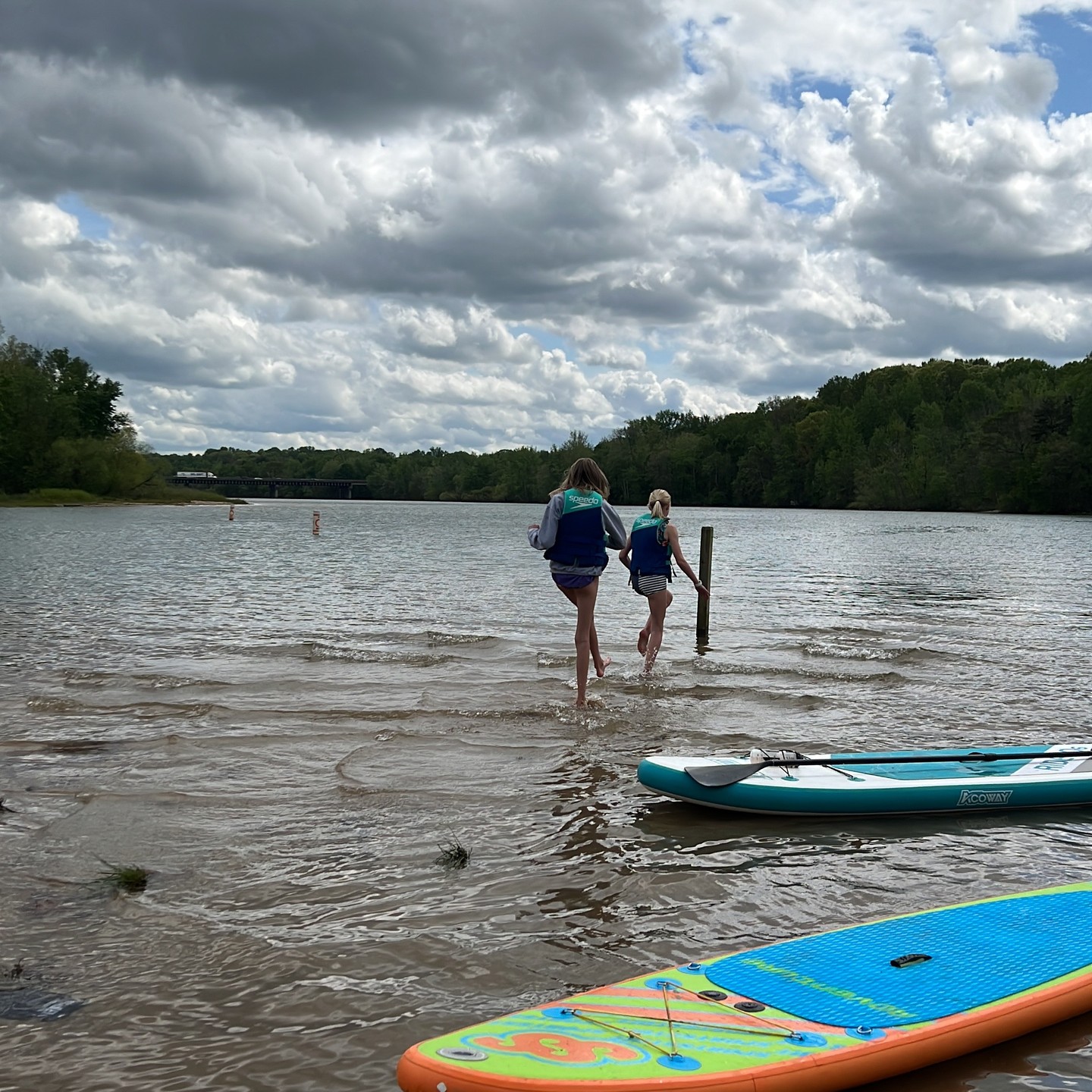 SUP with the fam and a chubby #watermoccasin caught me by surprise ...