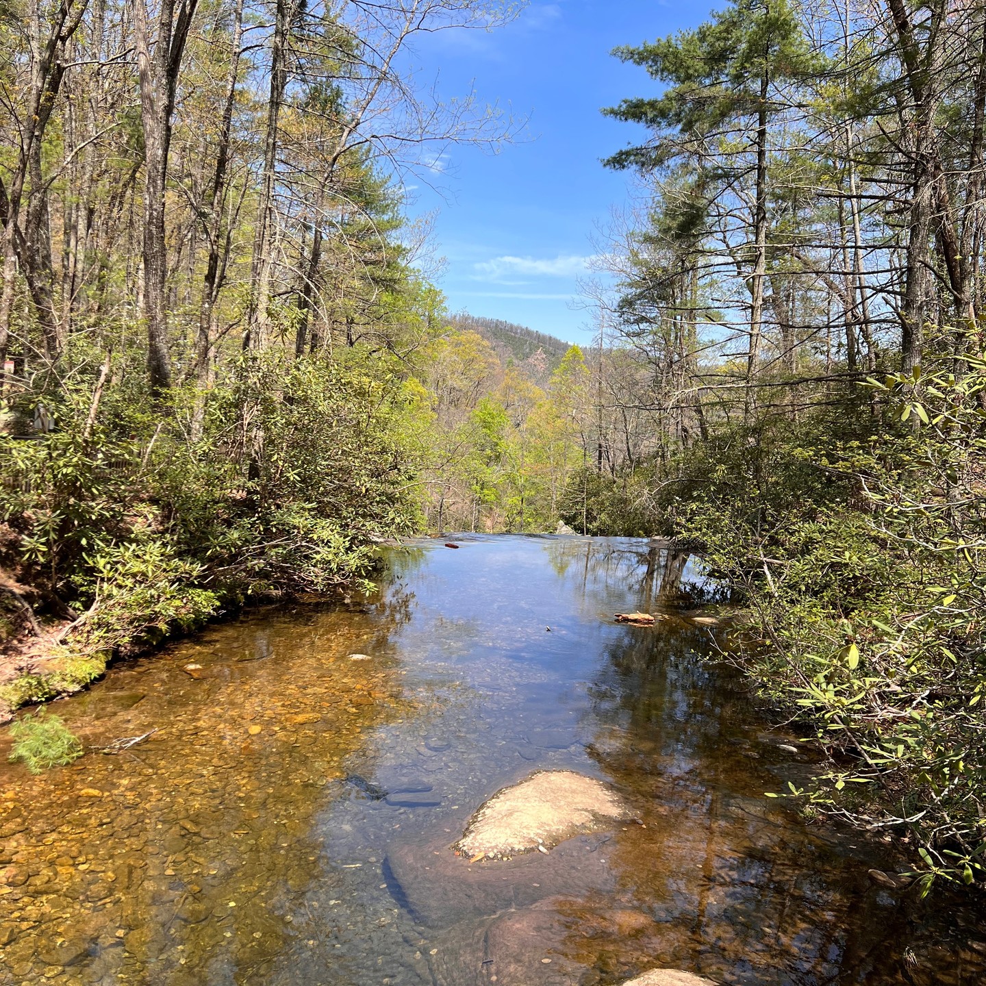 A random visit to South Maintains State Park to check out the trails. Some solid climbing and great 