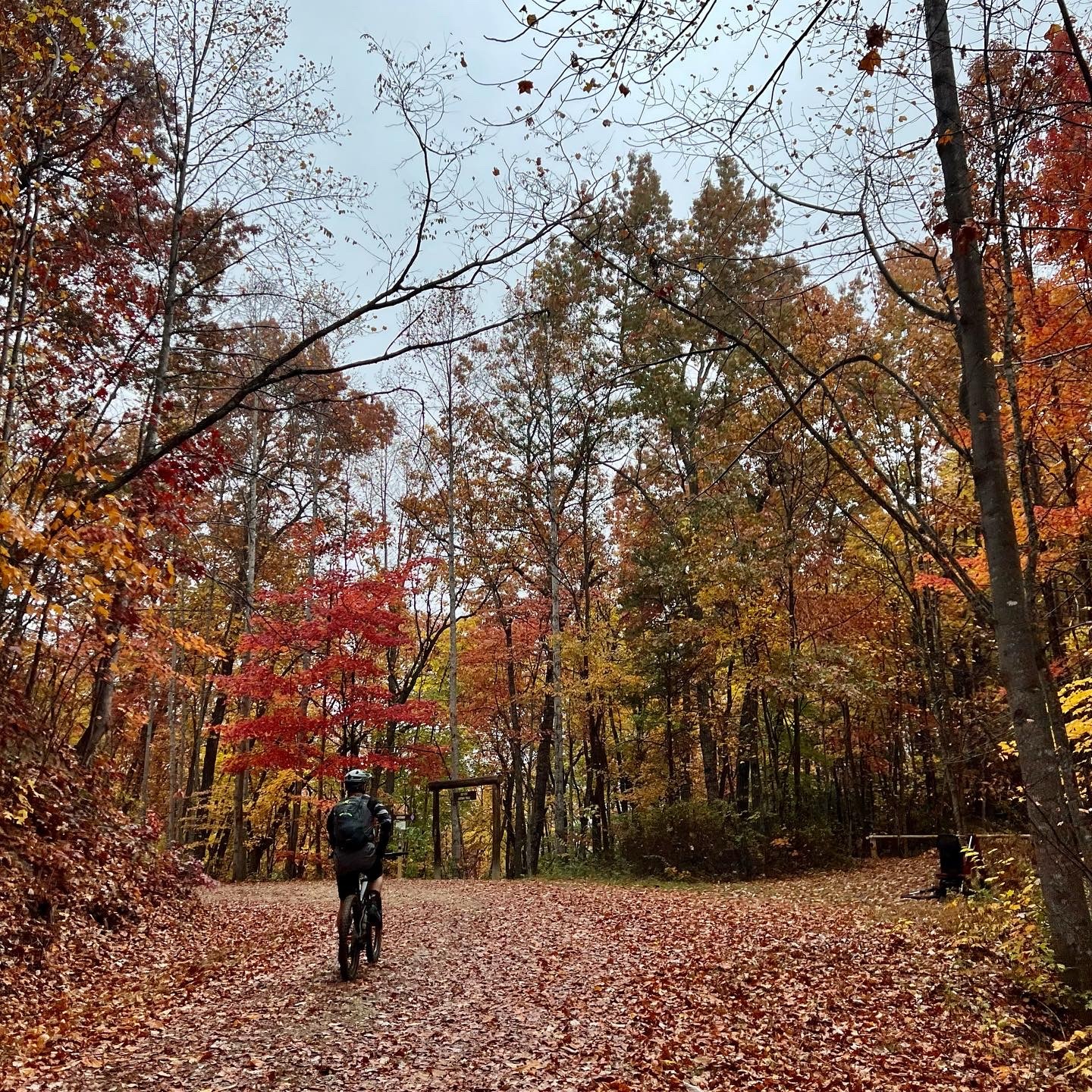 Rostan, Gateway, Curtis and Heartbreak ❤️🍂🍁🍃