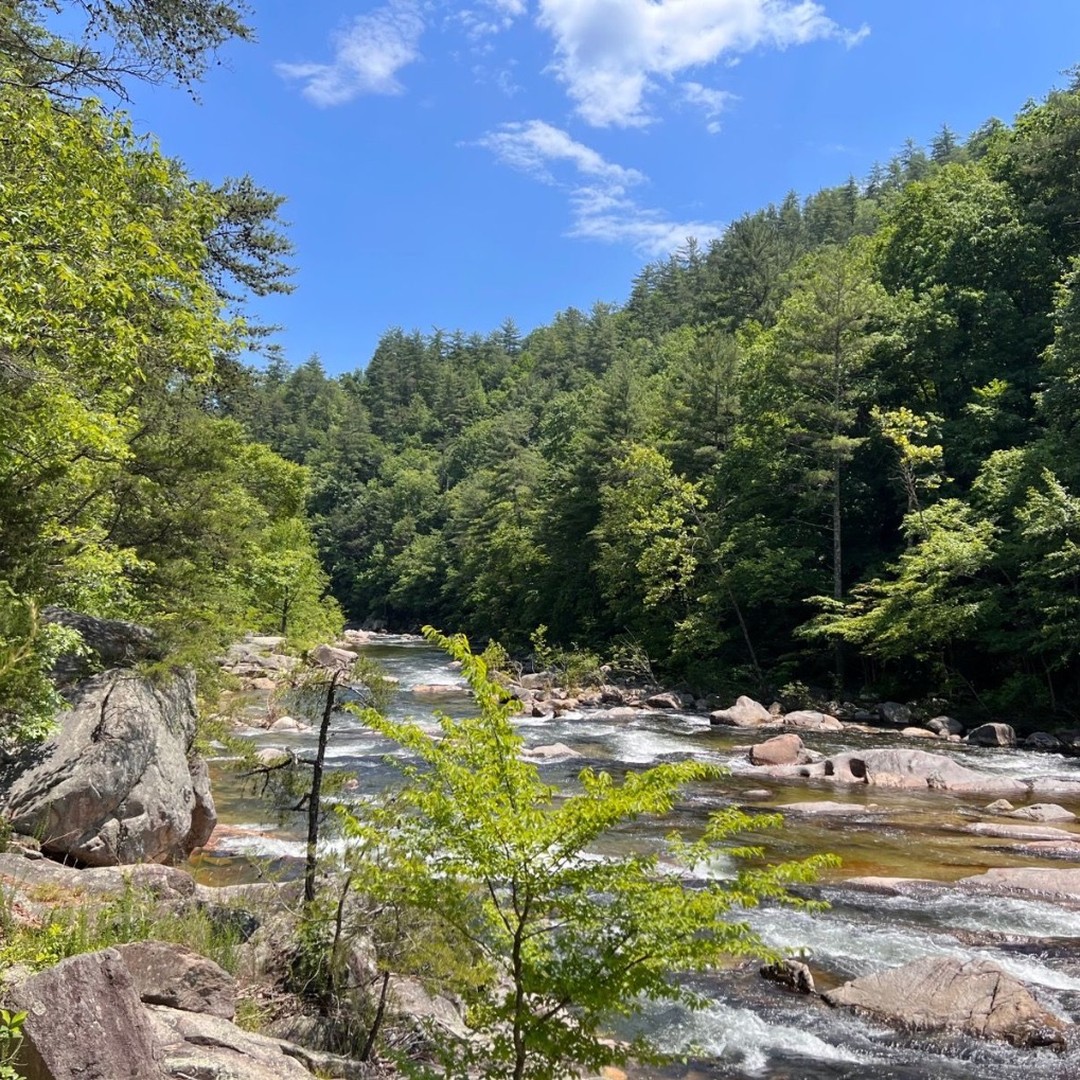 Wilson Creek #2022 - Should have checked trail reports on Middle Wilson, was not what I was expectin