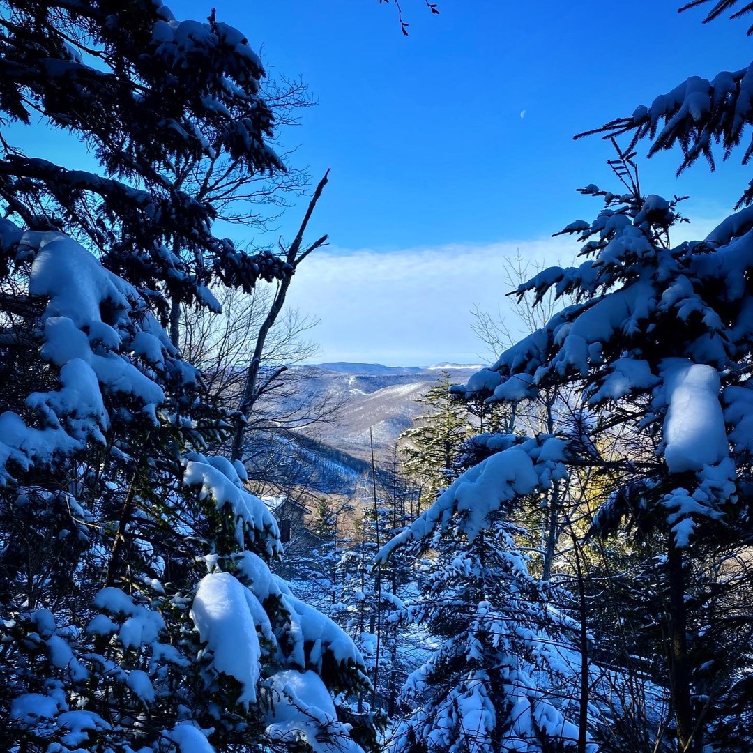 A different pace ...