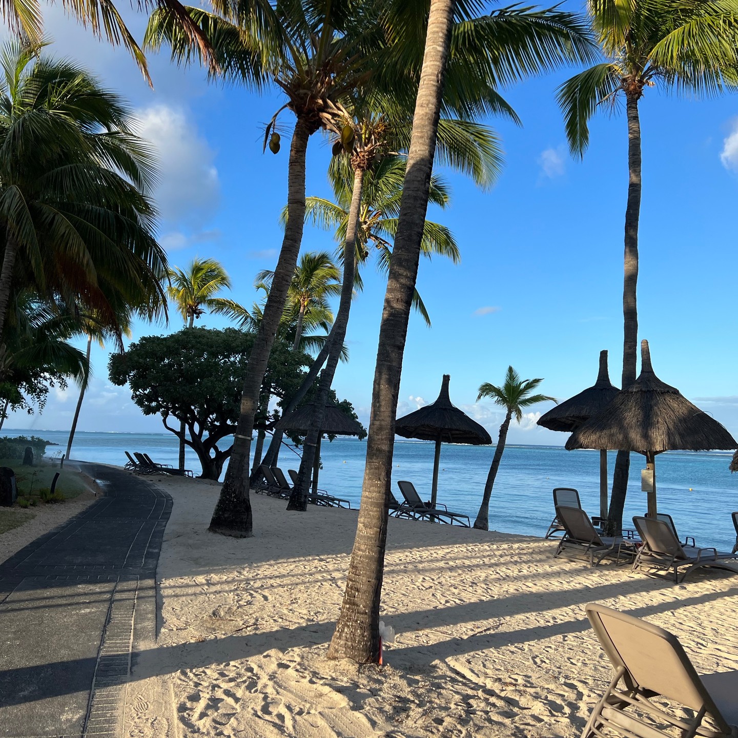I have run in worse places at #6AM #mauritius