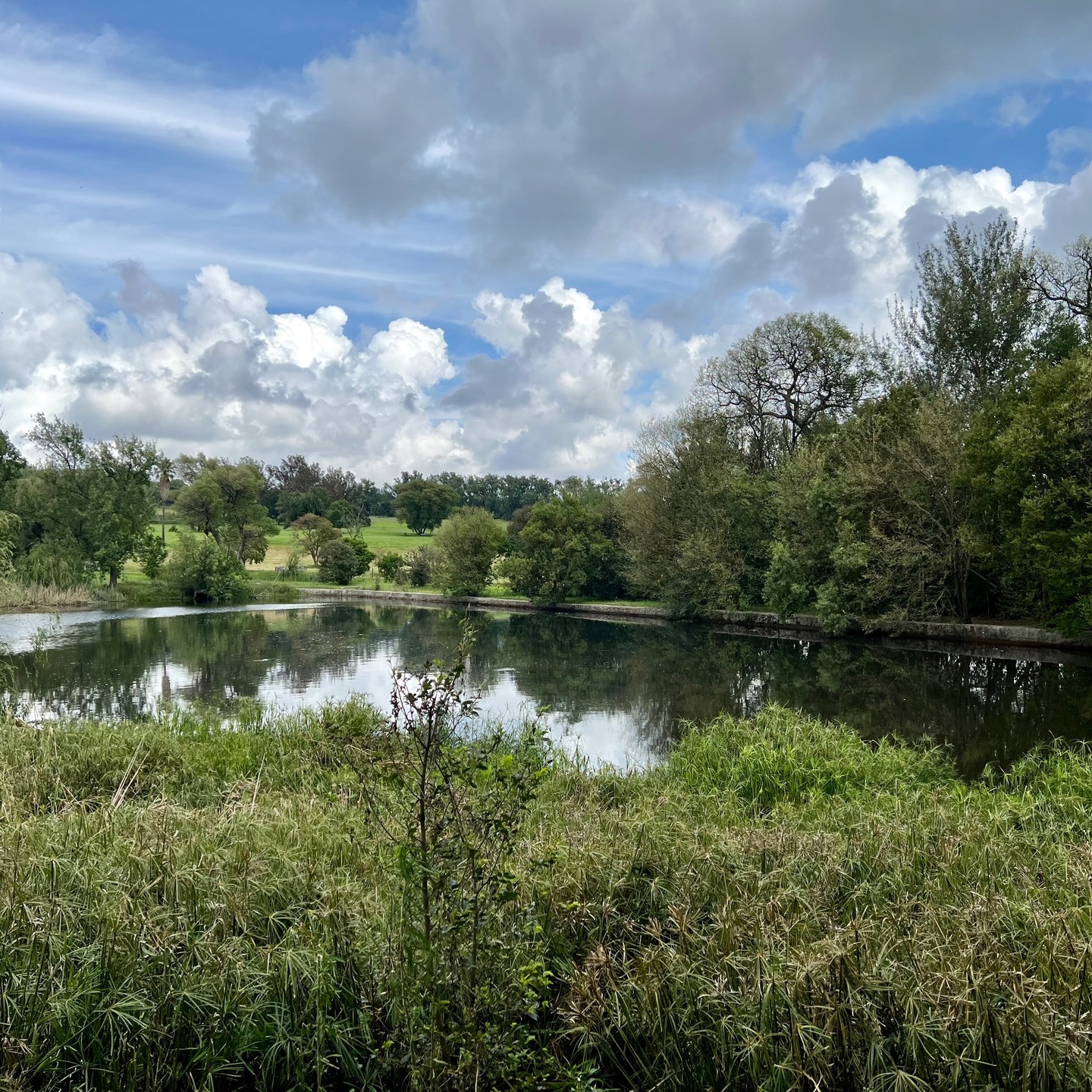 Run to overcome the #jetlag and 24 Hours of Travel to #SouthAfrica - explored Delta Park in Johannes