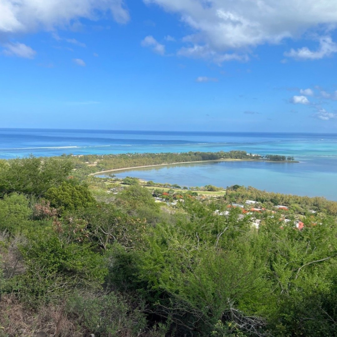 A trail run up to Le Morne Brabant