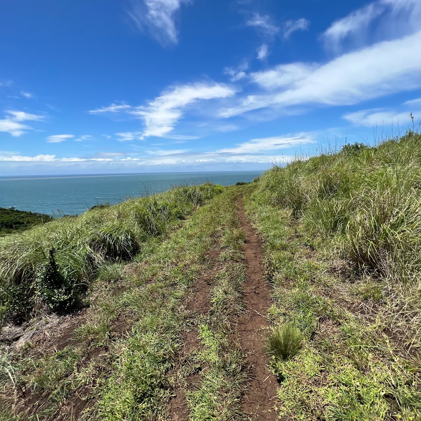 One of my favorite trail runs while in #SouthAfrica - Morgan Bay -> Double Mouth -> Kei Mouth. 12 mi