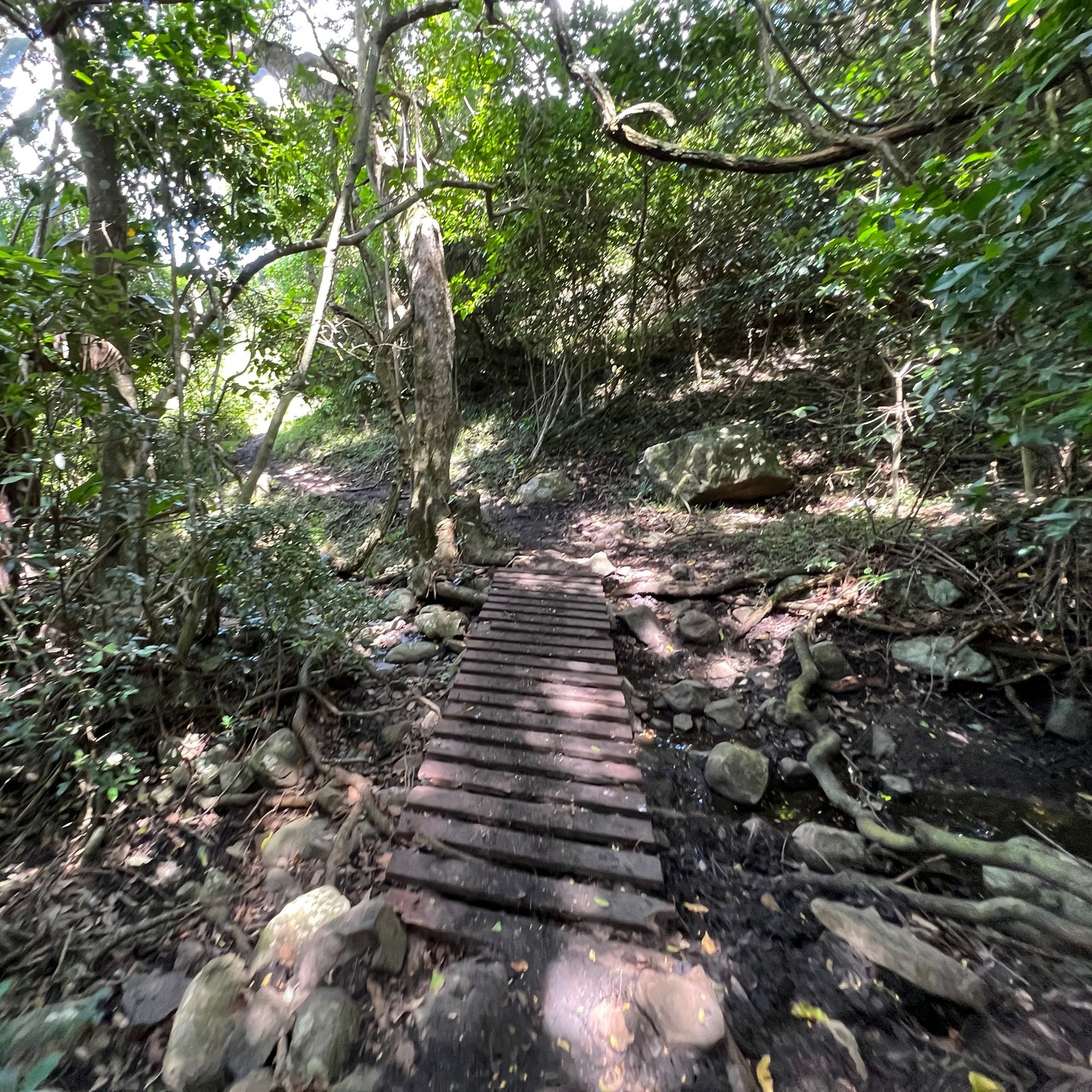 One of my favorite trail runs while in #SouthAfrica - Morgan Bay -> Double Mouth -> Kei Mouth. 12 mi