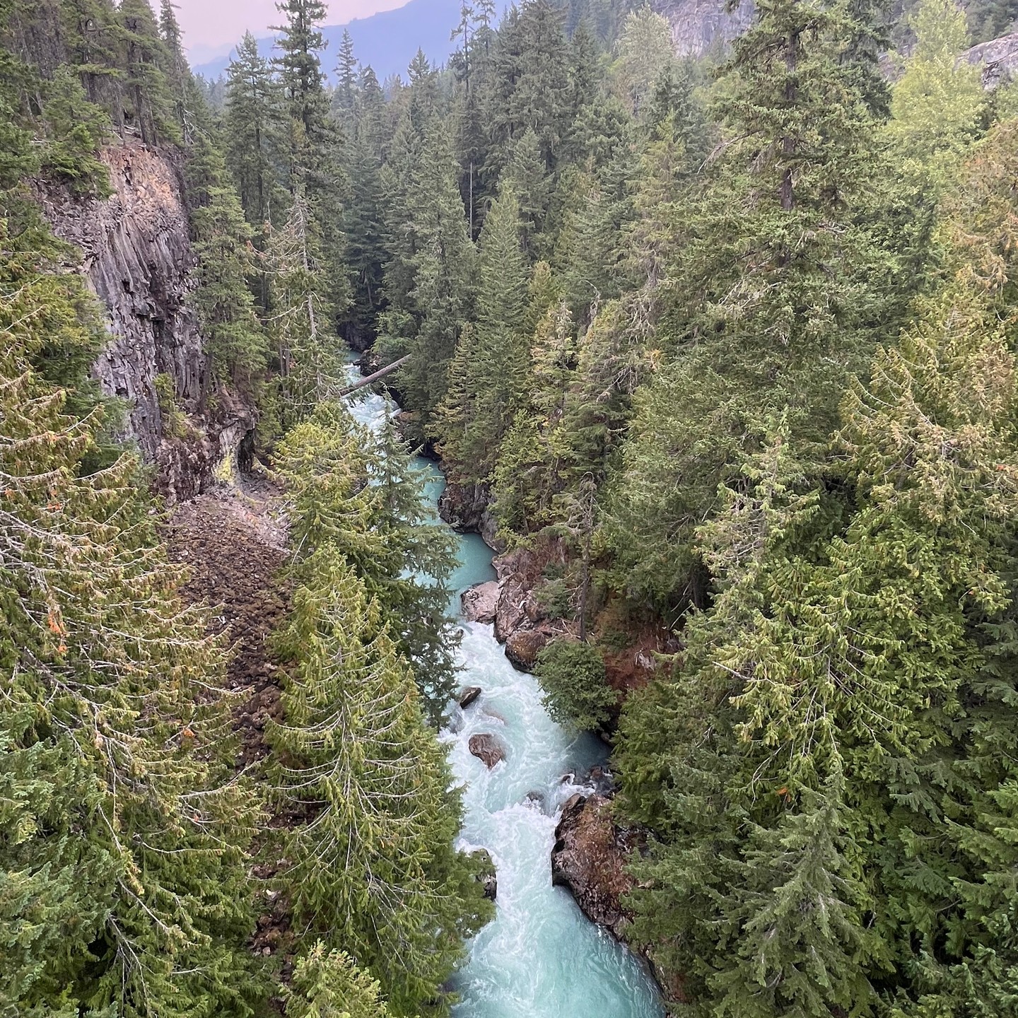 A very tentative #bungyjump 😂