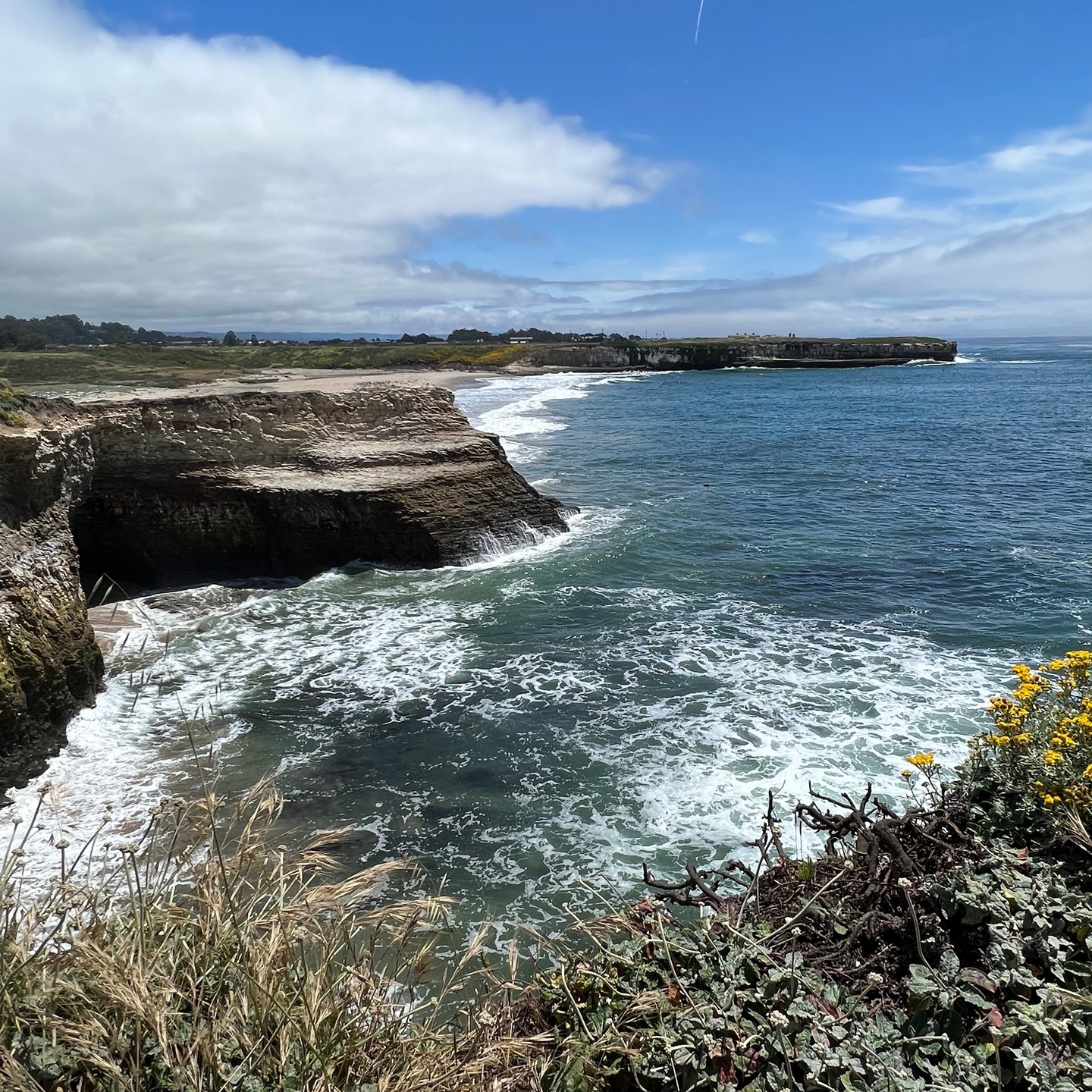 #MTB - Wilder Ranch State Park