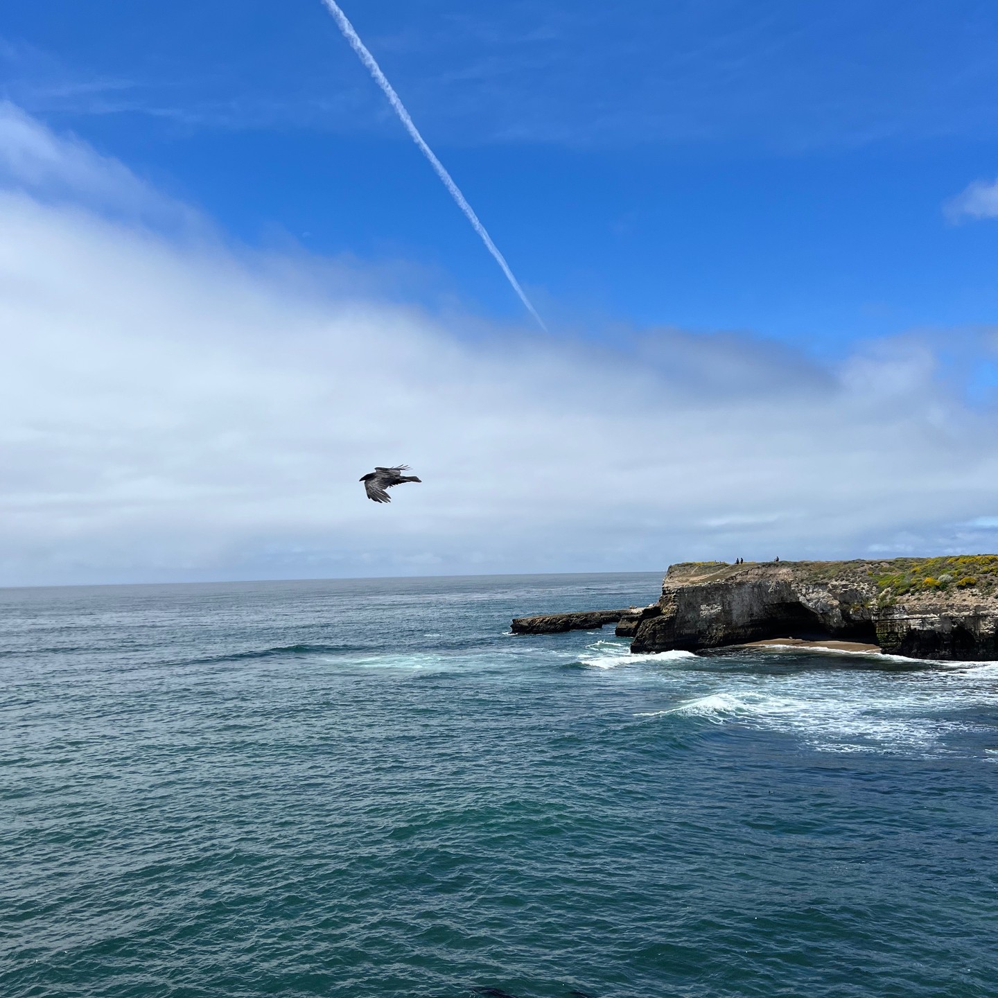 #MTB - Wilder Ranch State Park