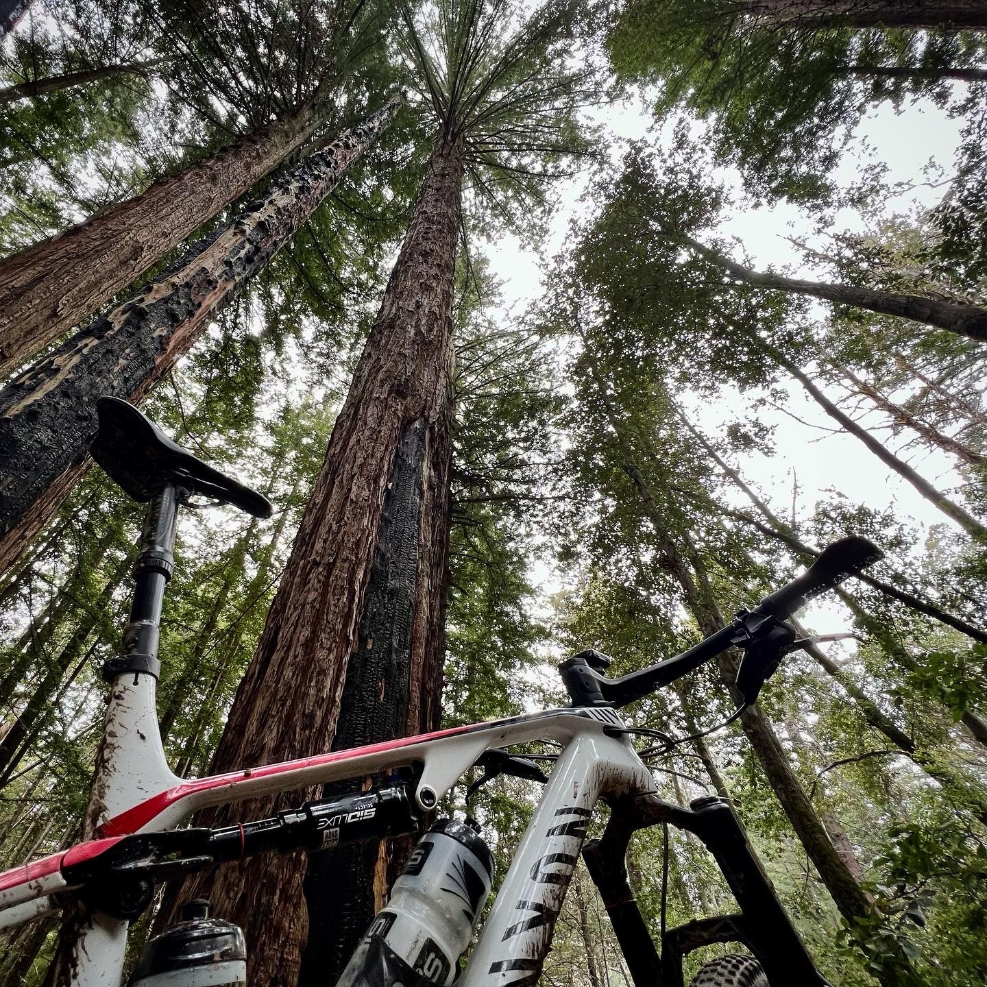 #portolavalley ❤️