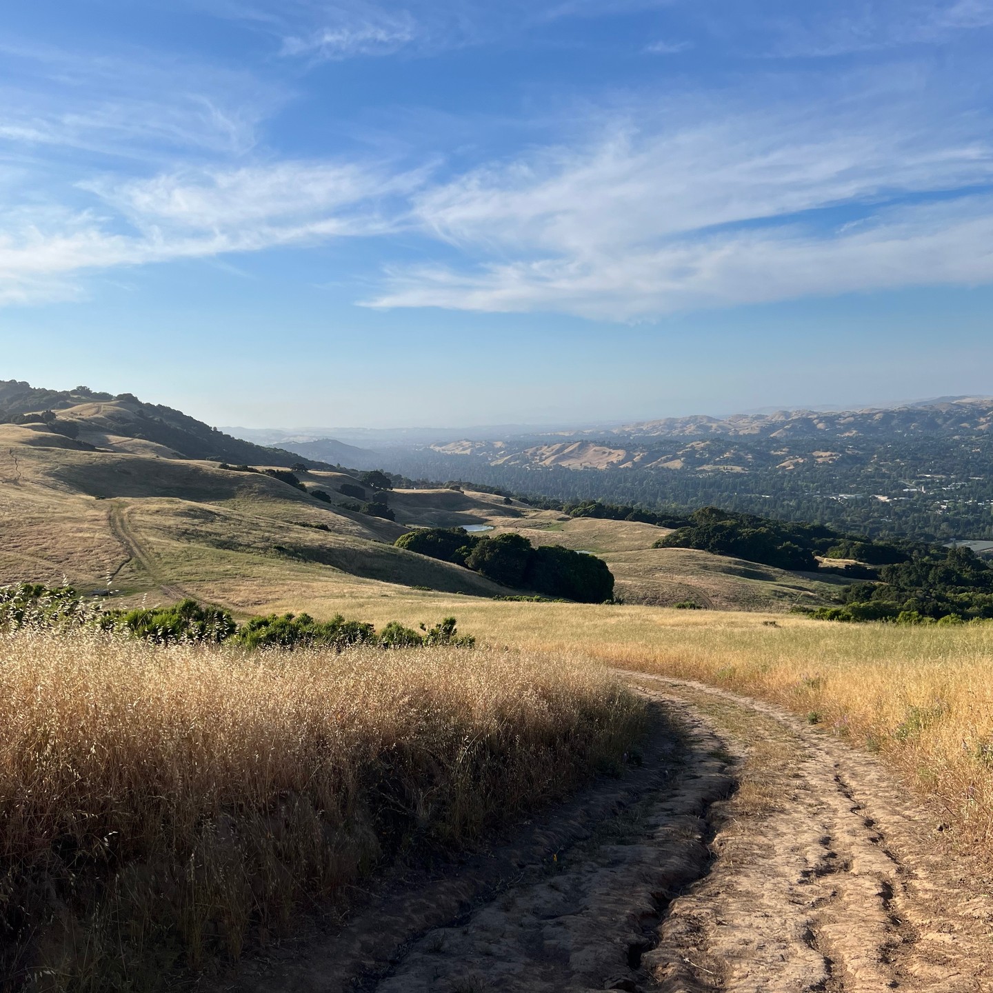 Pleasanton Ridge