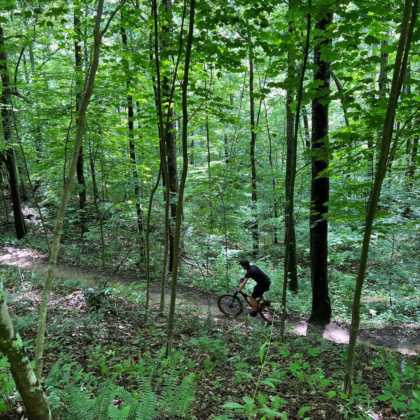 #2023 visit to @brysoncity and the awesome @firemountaintrails