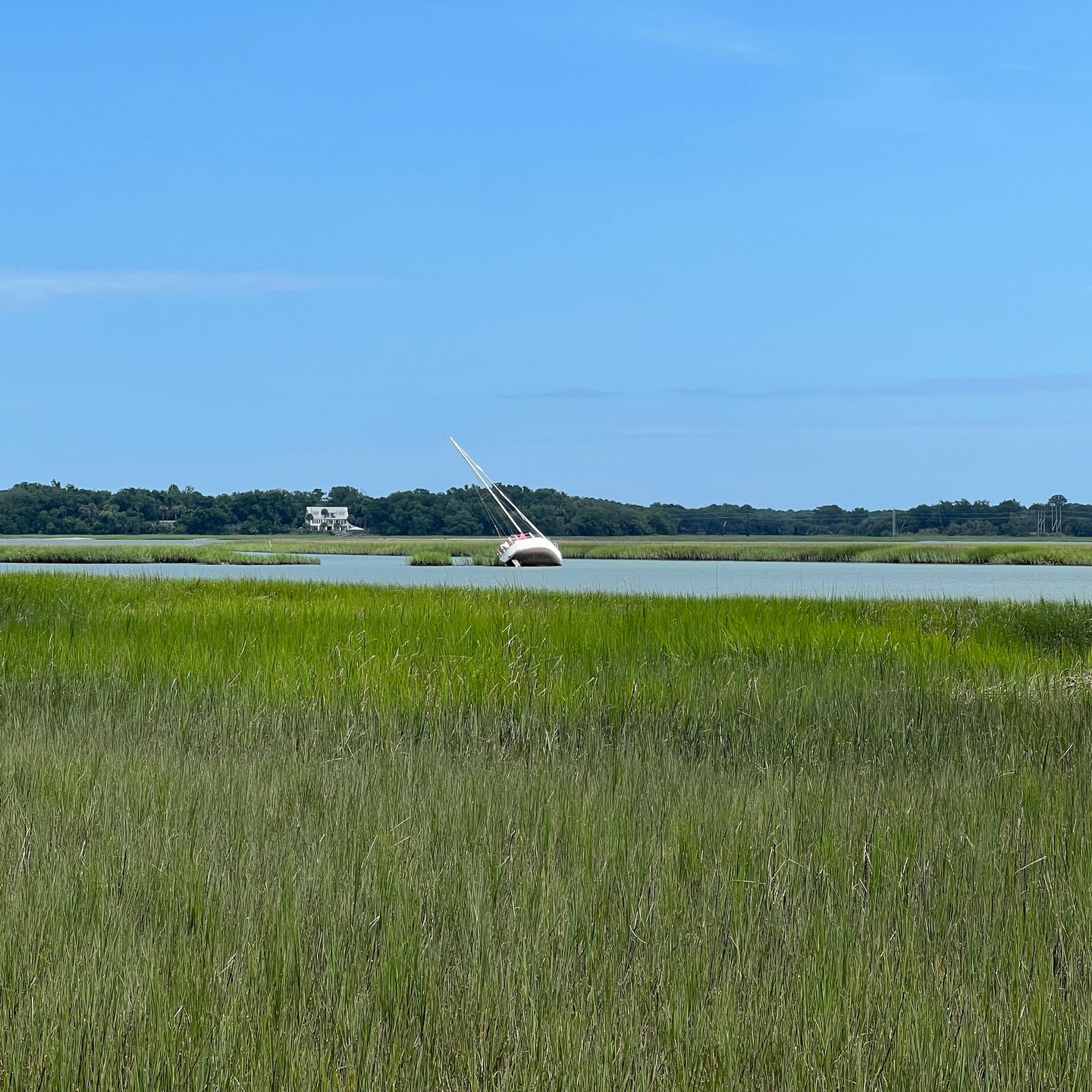 #Gravel ride Pinckney Wildlife Refuge