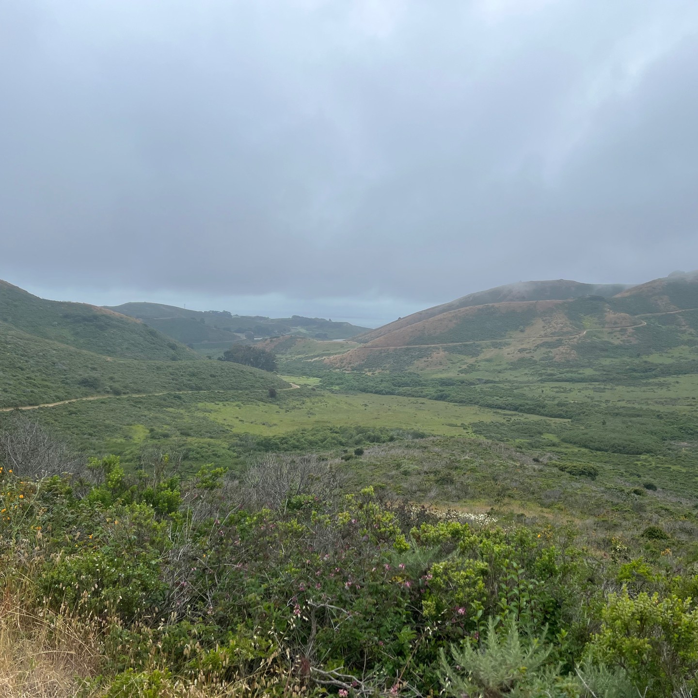 #Gravel Mission to checkout Marin Headlands.