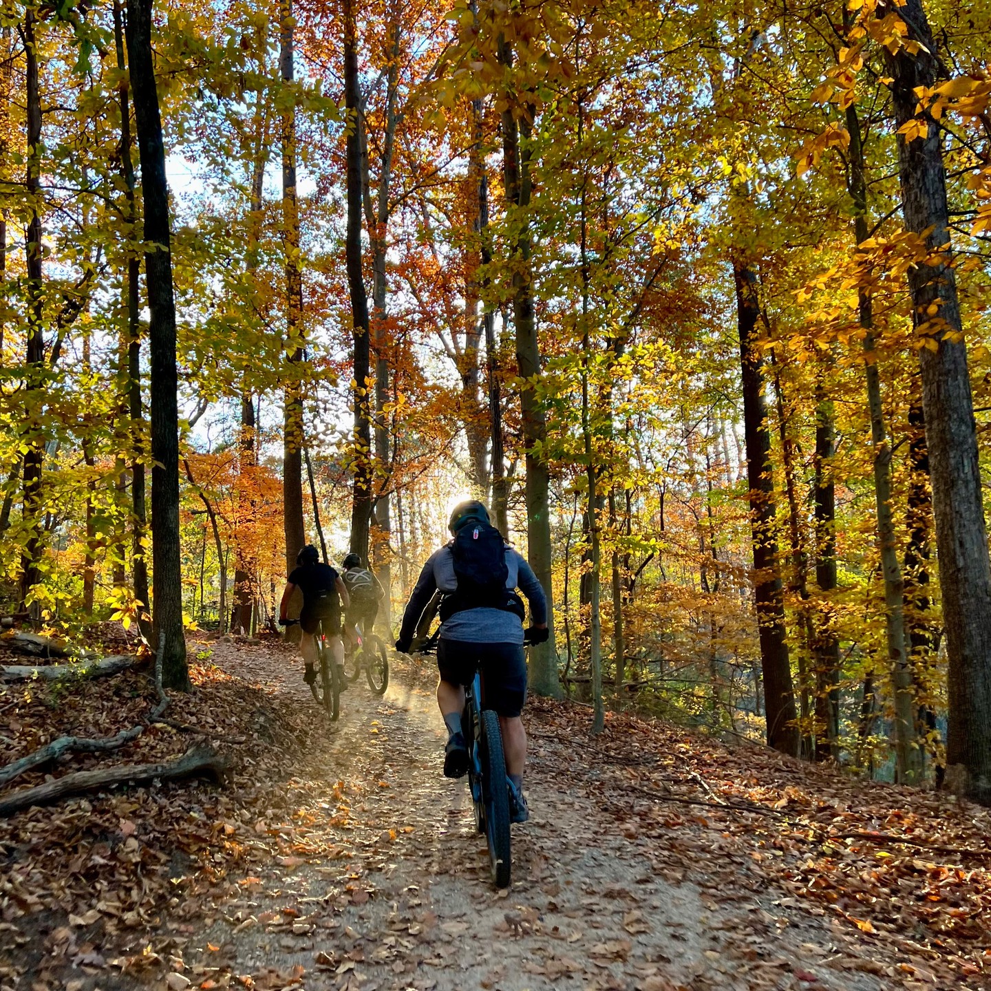 #2023 #fall @rockybranchpark_nc