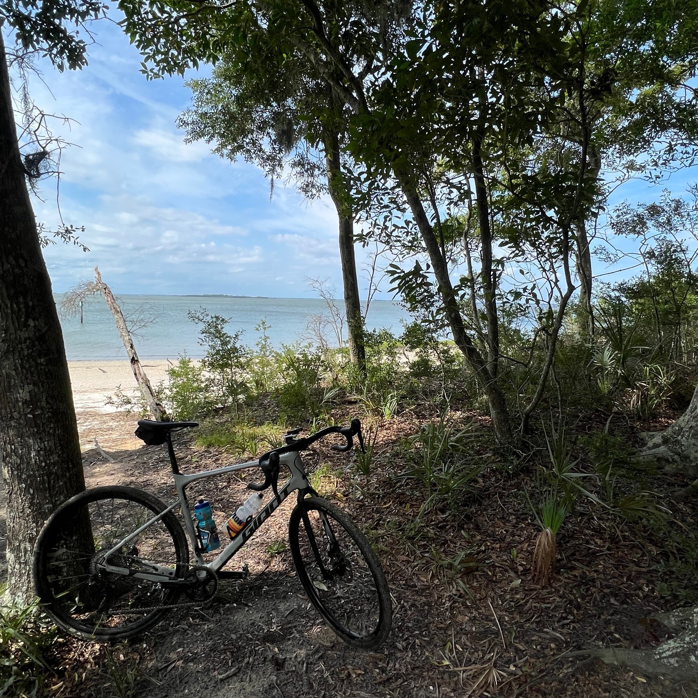 #Gravel ride Pinckney Wildlife Refuge