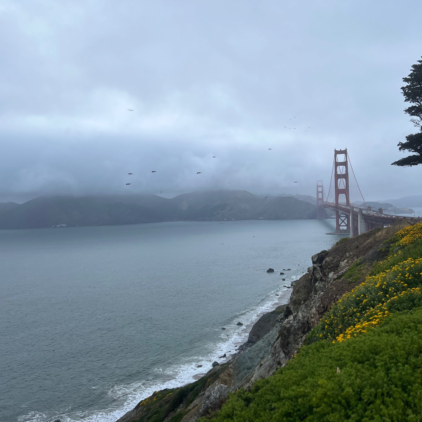 #Gravel Mission to checkout Marin Headlands.