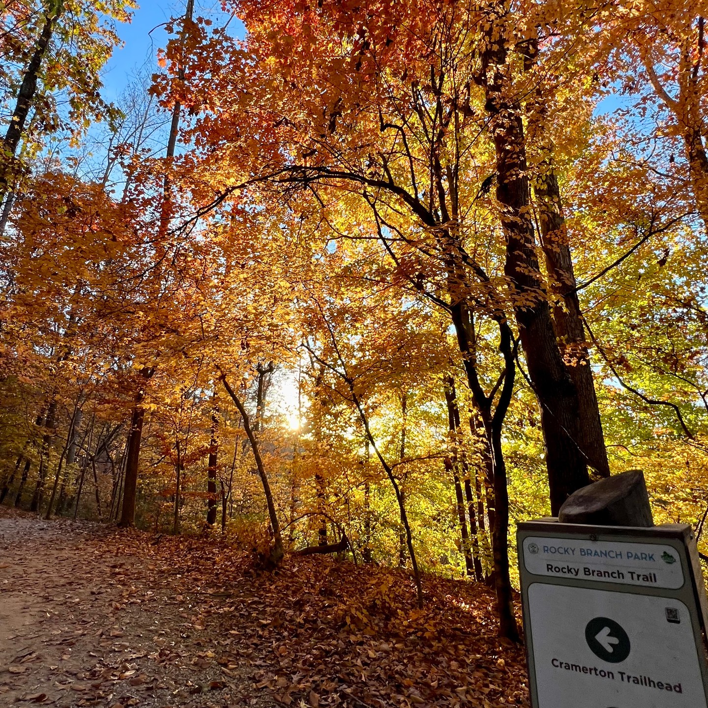 #2023 #fall @rockybranchpark_nc