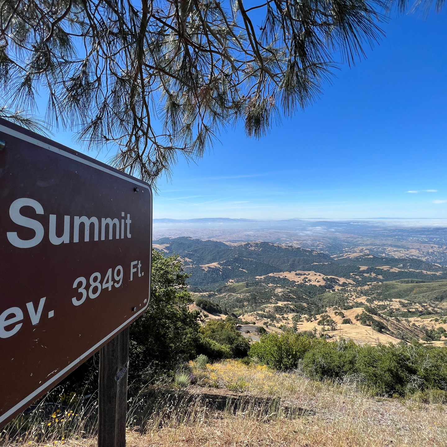 #TrailRun to the top of Mt. Diablo!