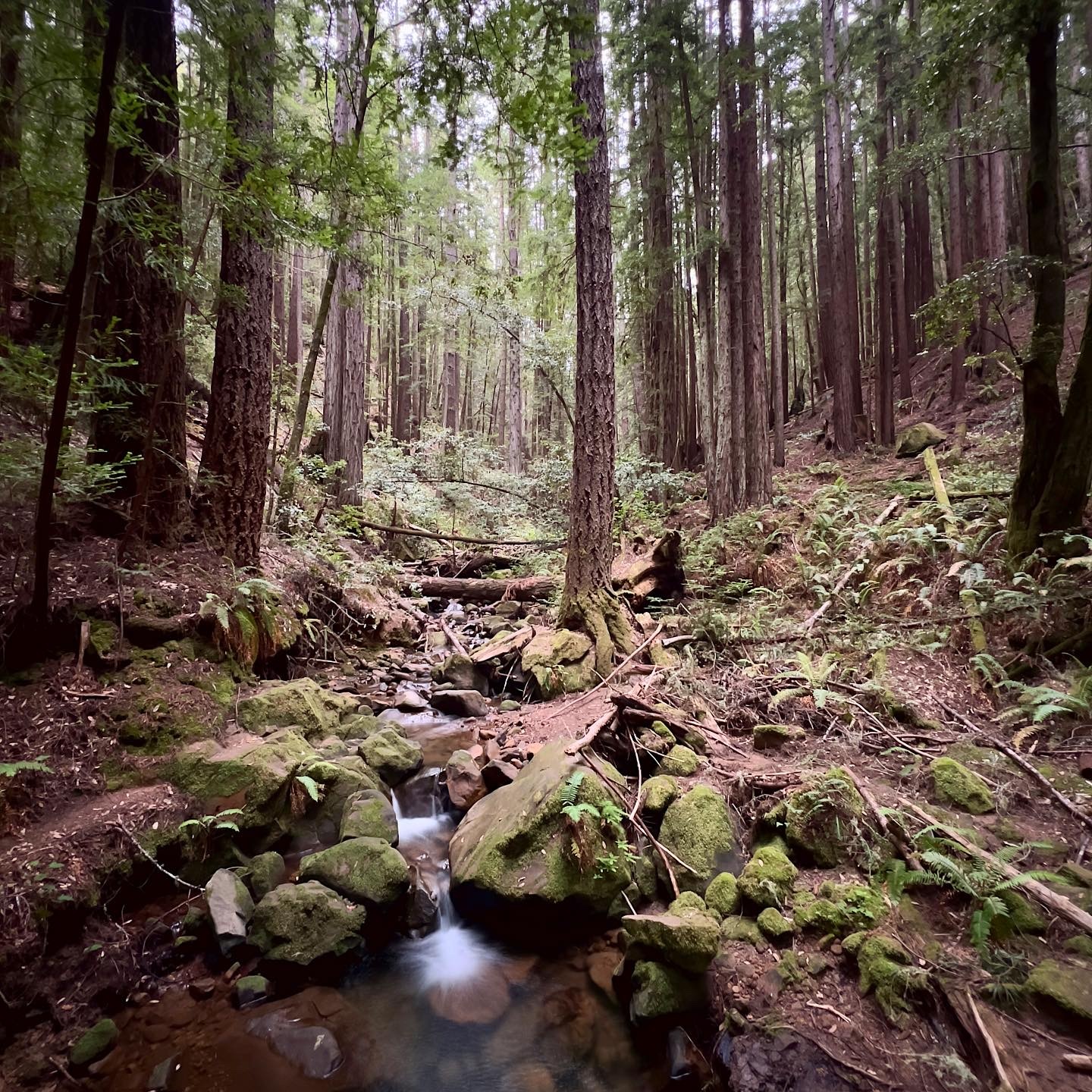 #portolavalley ❤️