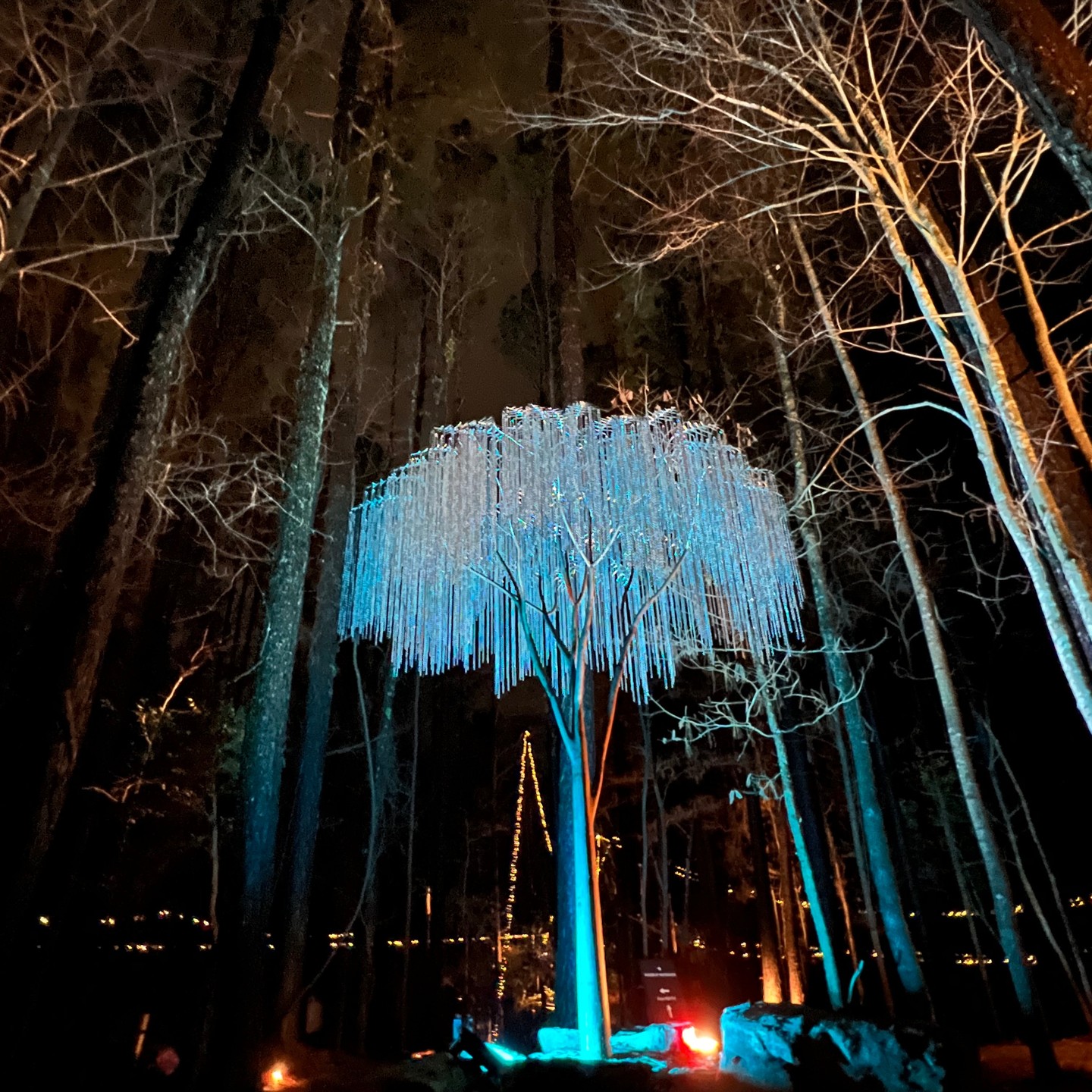 Fun evening walk @usnwc