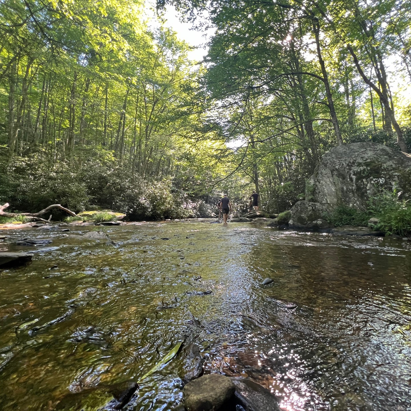 Fun ride @rockyknobmtbpark in Boone before heading to Asheville for @belgianwaffleride