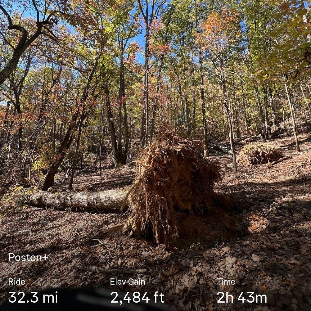 #Belmont Poston + @threadtrail and more …