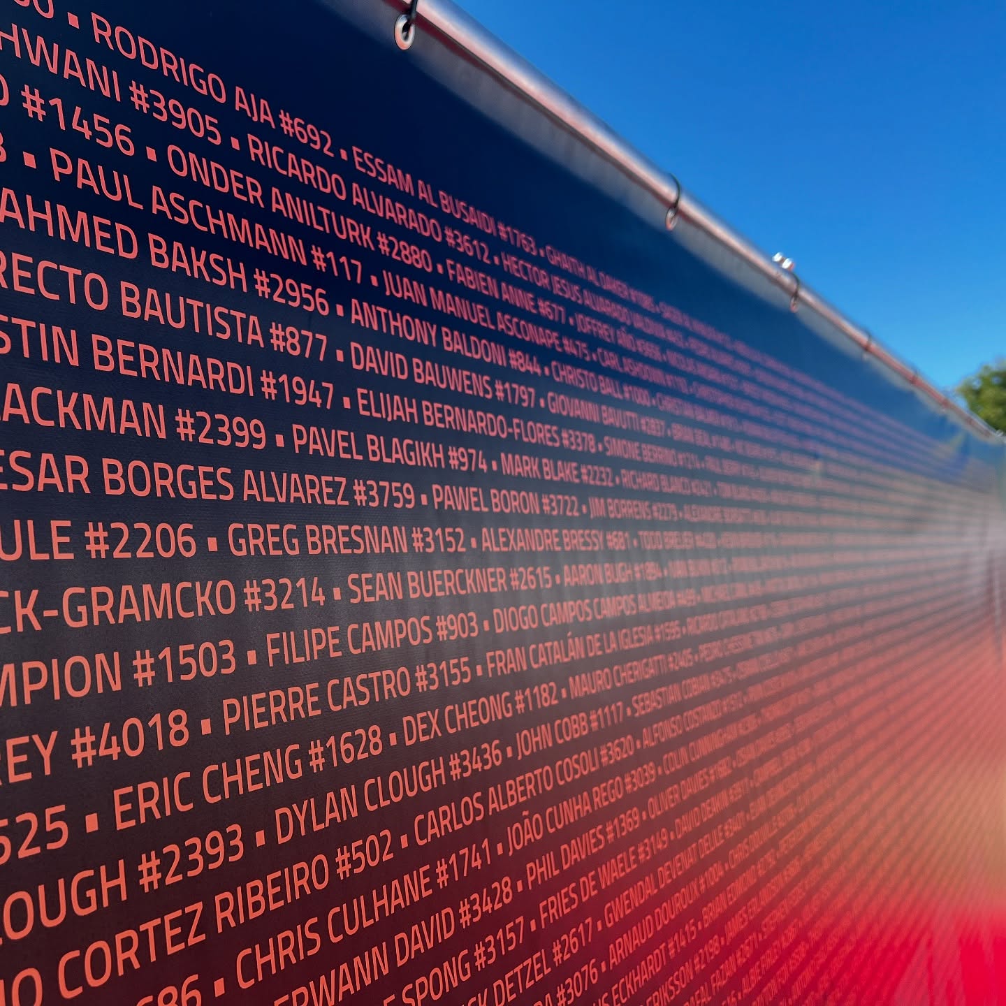 #117 of 3600 #needleinahayesstack