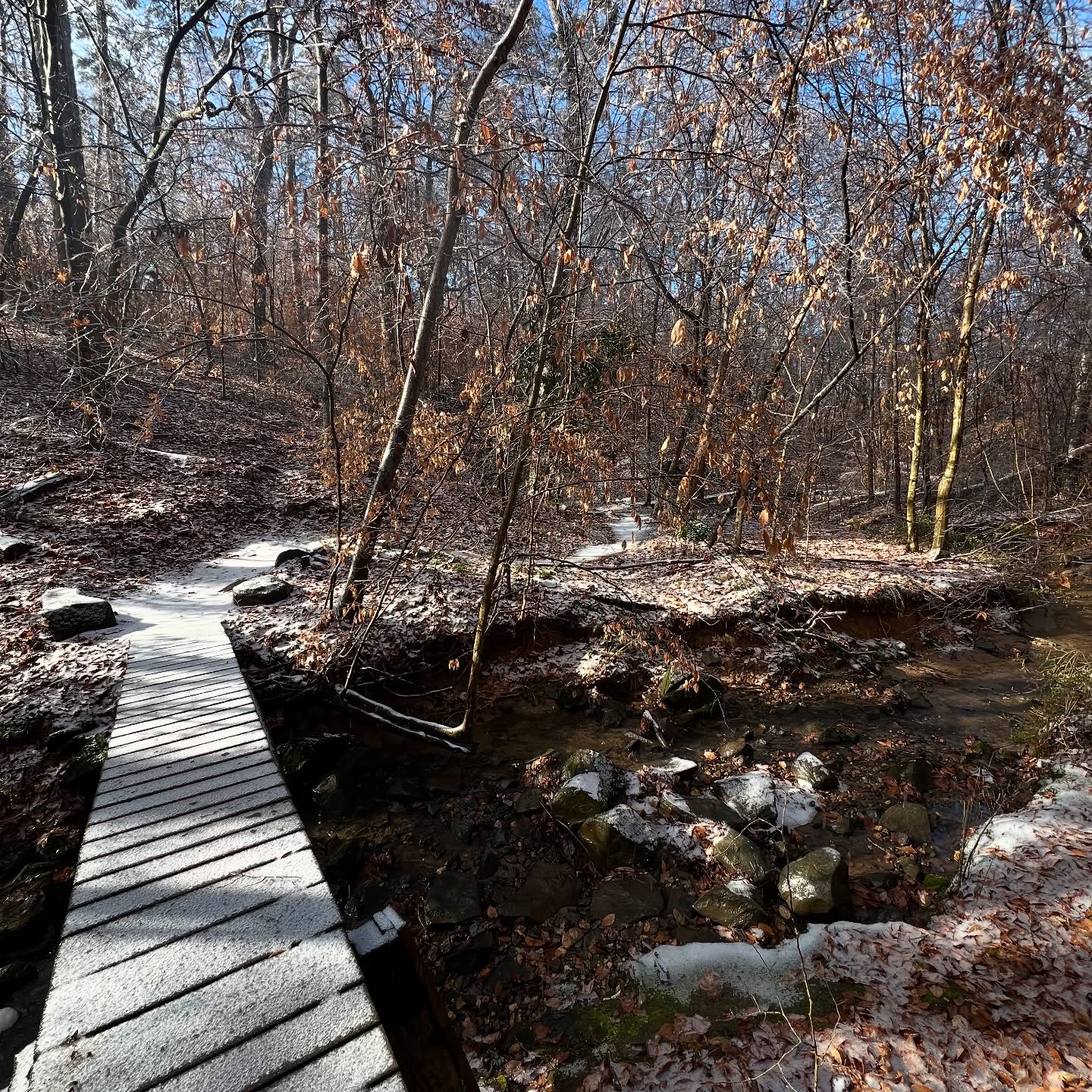 Fun ride with @safairweather