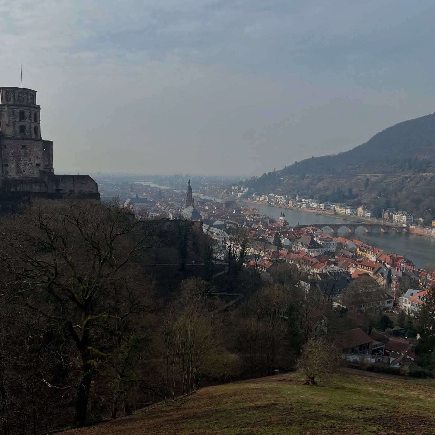 Twin Peaks - Heiligenberganlage and Königstuhl - Lost, steep and some relentless stairs, but rewarde