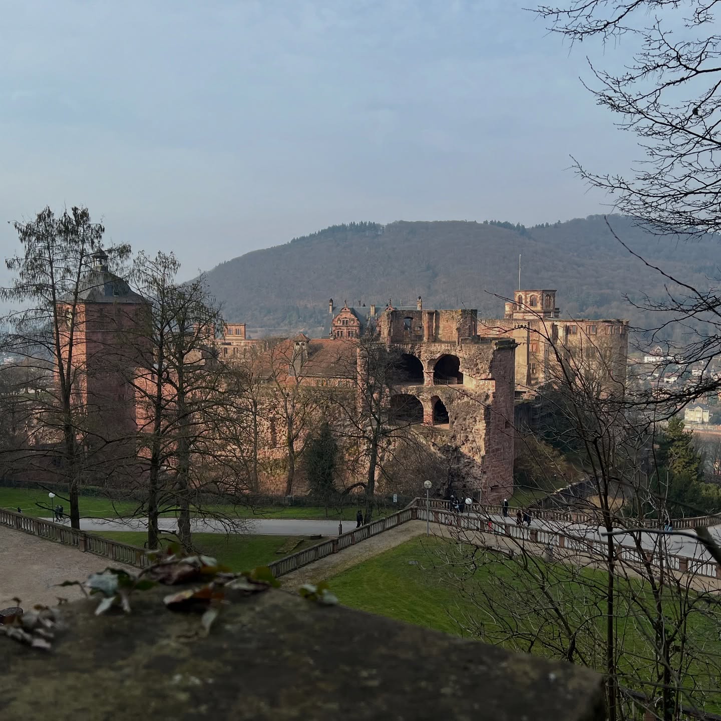 Twin Peaks - Heiligenberganlage and Königstuhl - Lost, steep and some relentless stairs, but rewarde