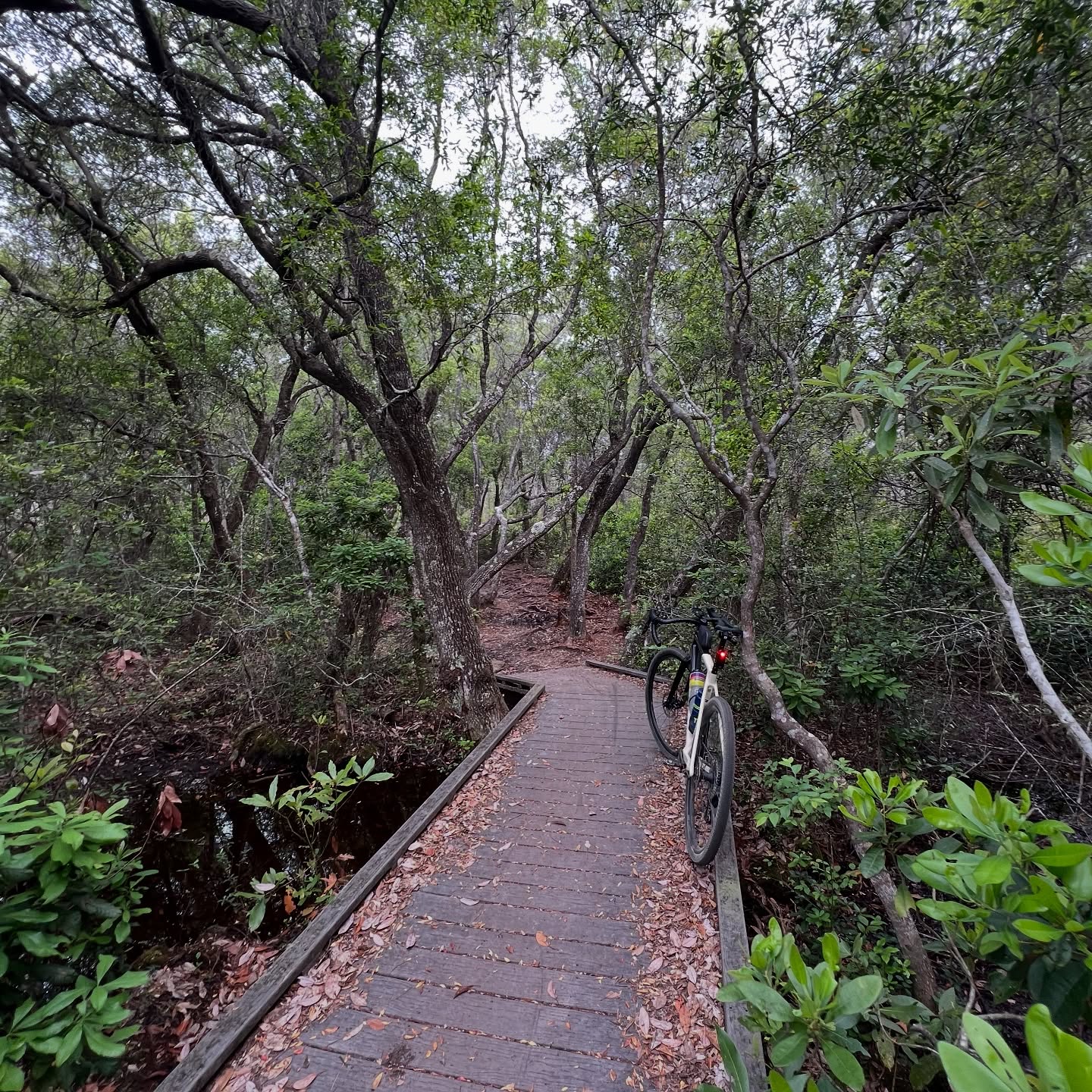 Week 2 Build before #im703chattanooga in sunny #seasidefl ☀️