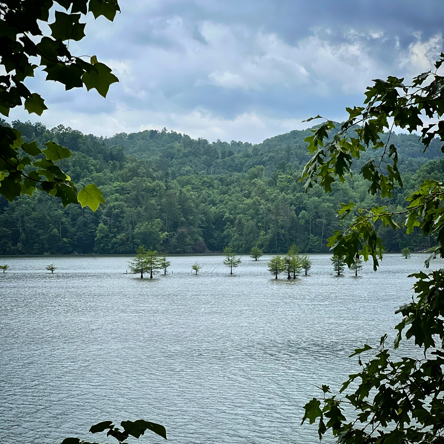 A little random photo dump of last week’s @ironmanamericas 70.3 in Chattanooga, TN