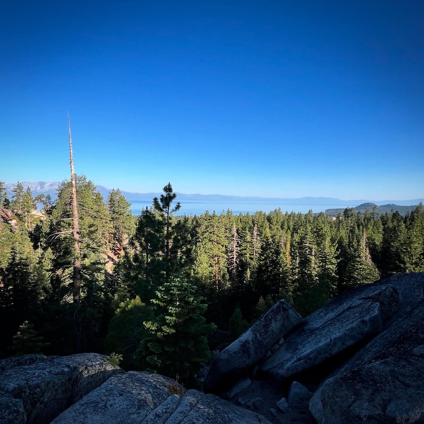 Note to self: 12 miles in belmont is not 12 miles in the mountains. Lost but probably one the pretti