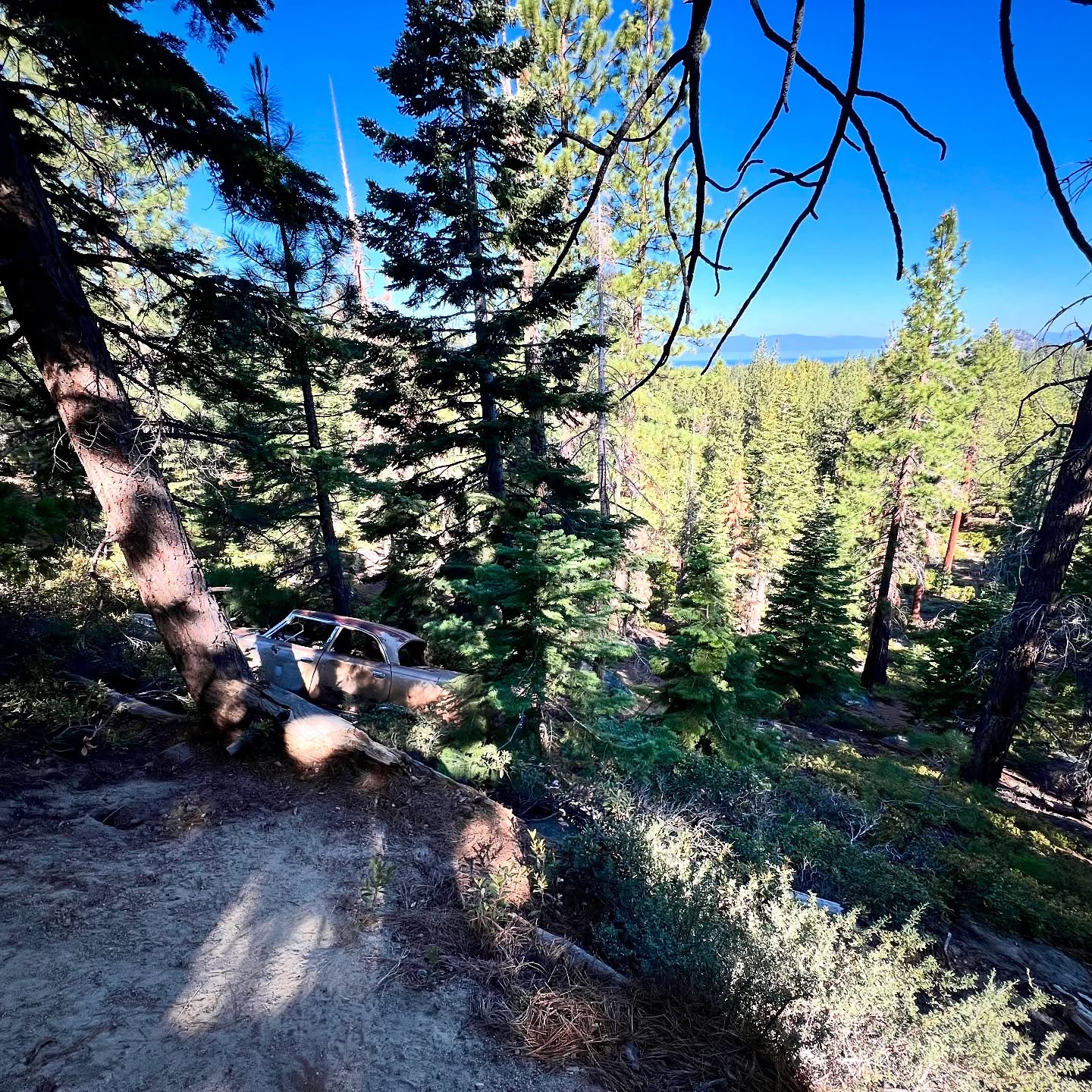 Note to self: 12 miles in belmont is not 12 miles in the mountains. Lost but probably one the pretti